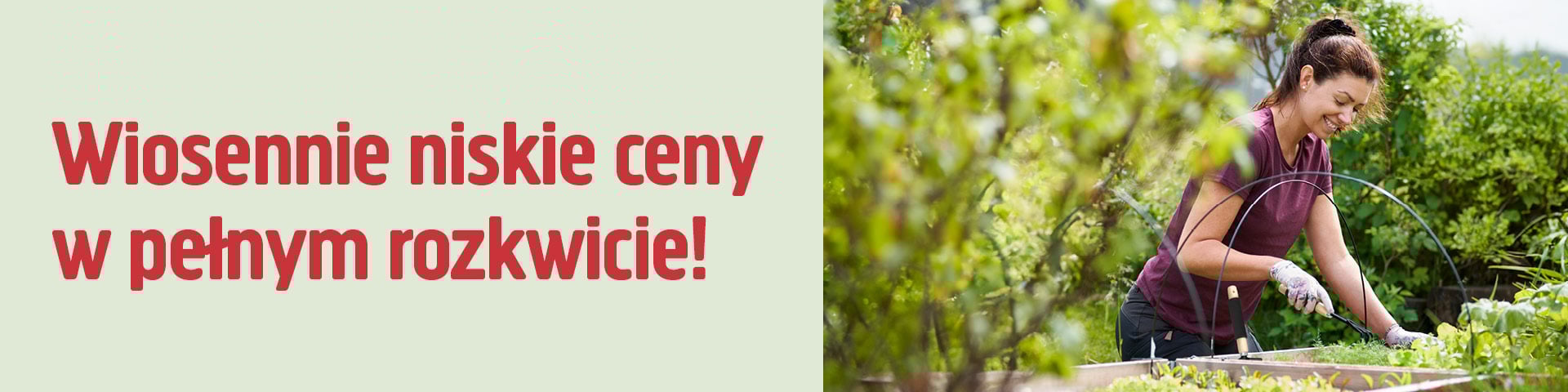 Kobieta w rękawiczkach pielęgnuje rośliny ogrodowe. Duży czerwony tekst po lewej stronie głosi: Wiosennie niskie ceny w pełnym rozkwicie!.