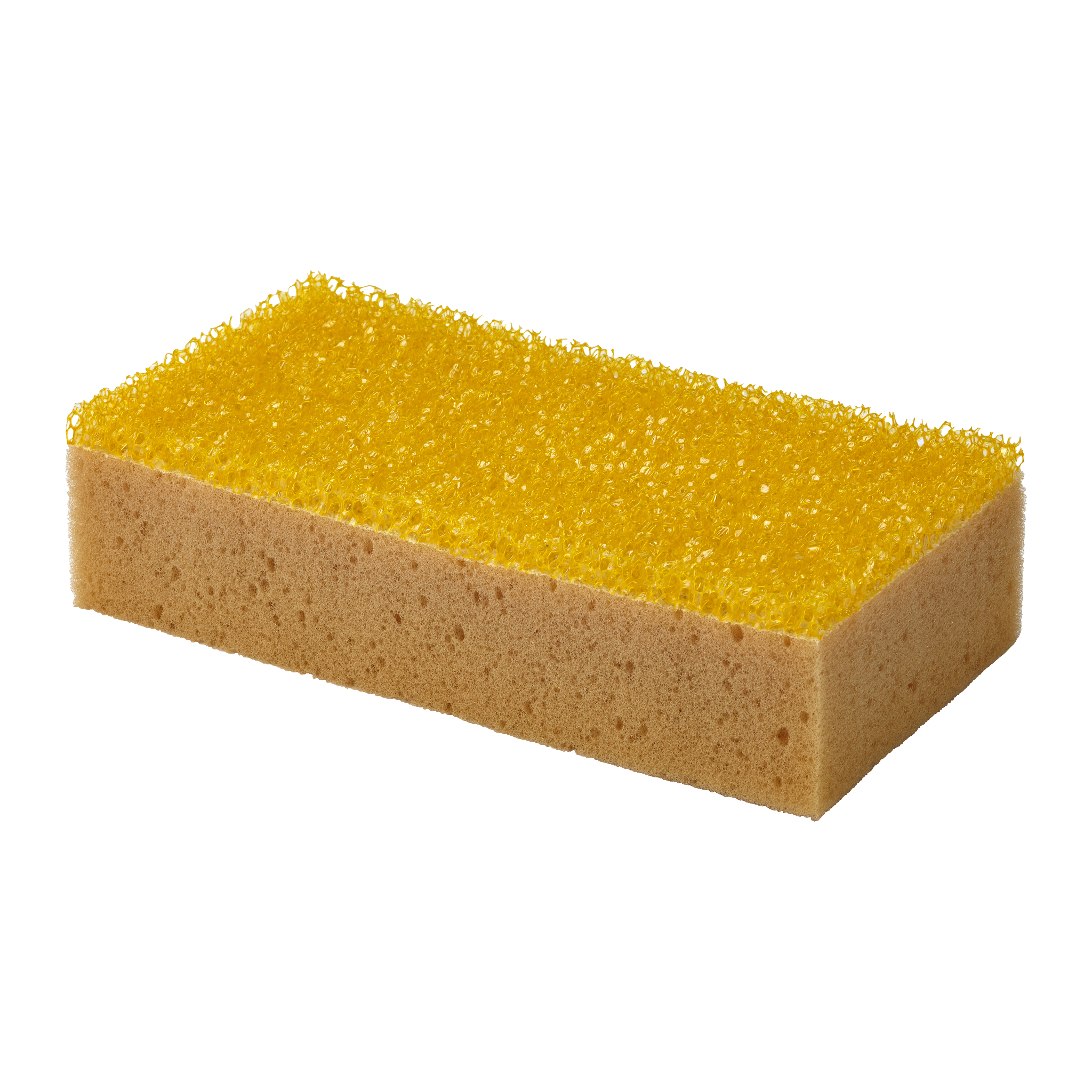 Insektsvamp