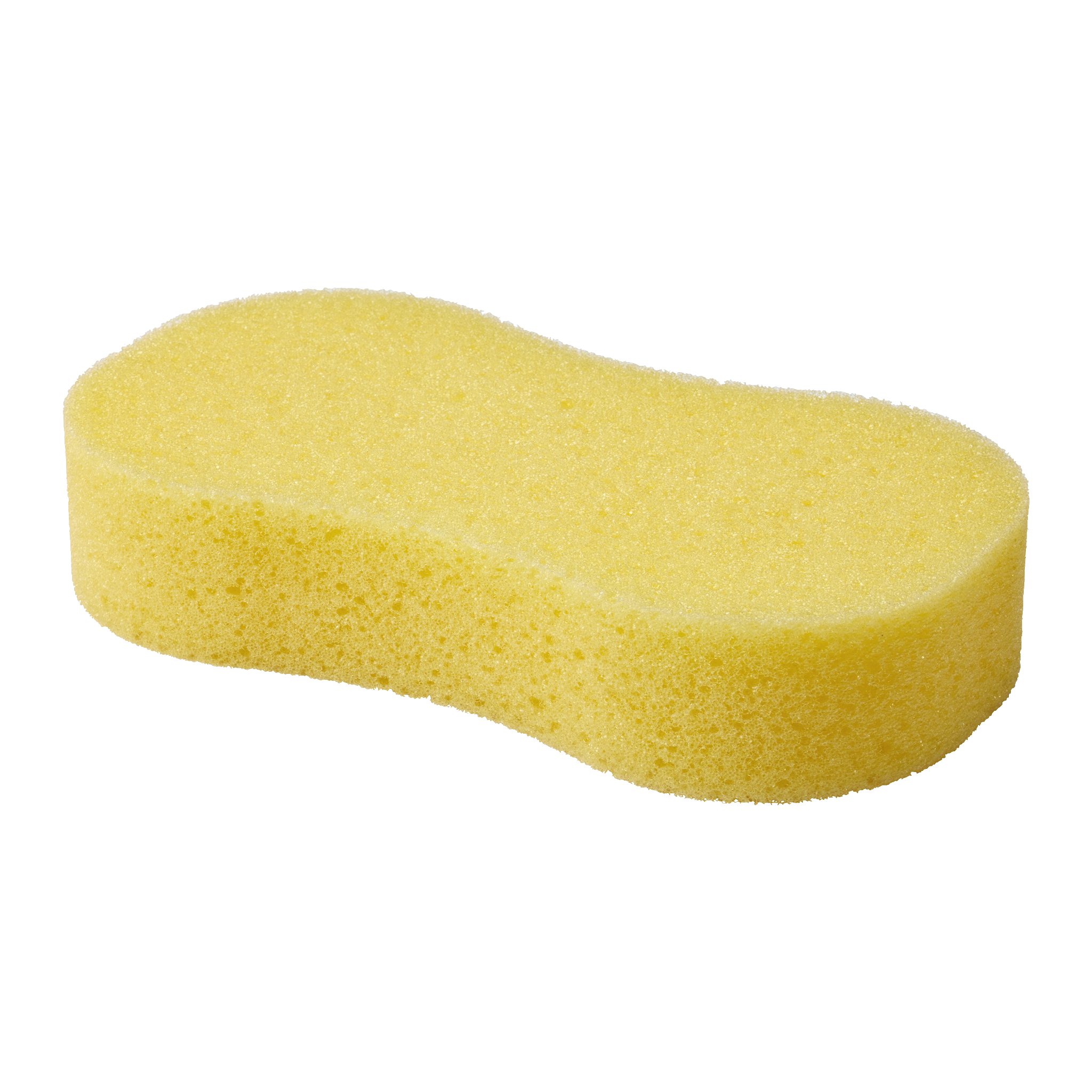 Vaskesvamp