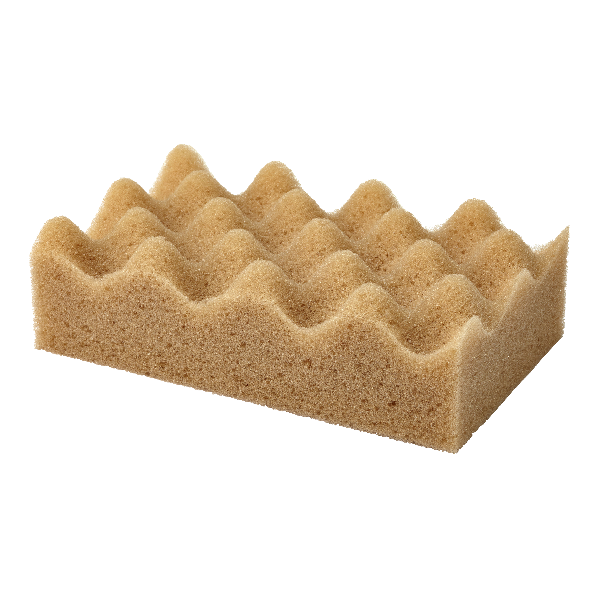 Våffelsvamp