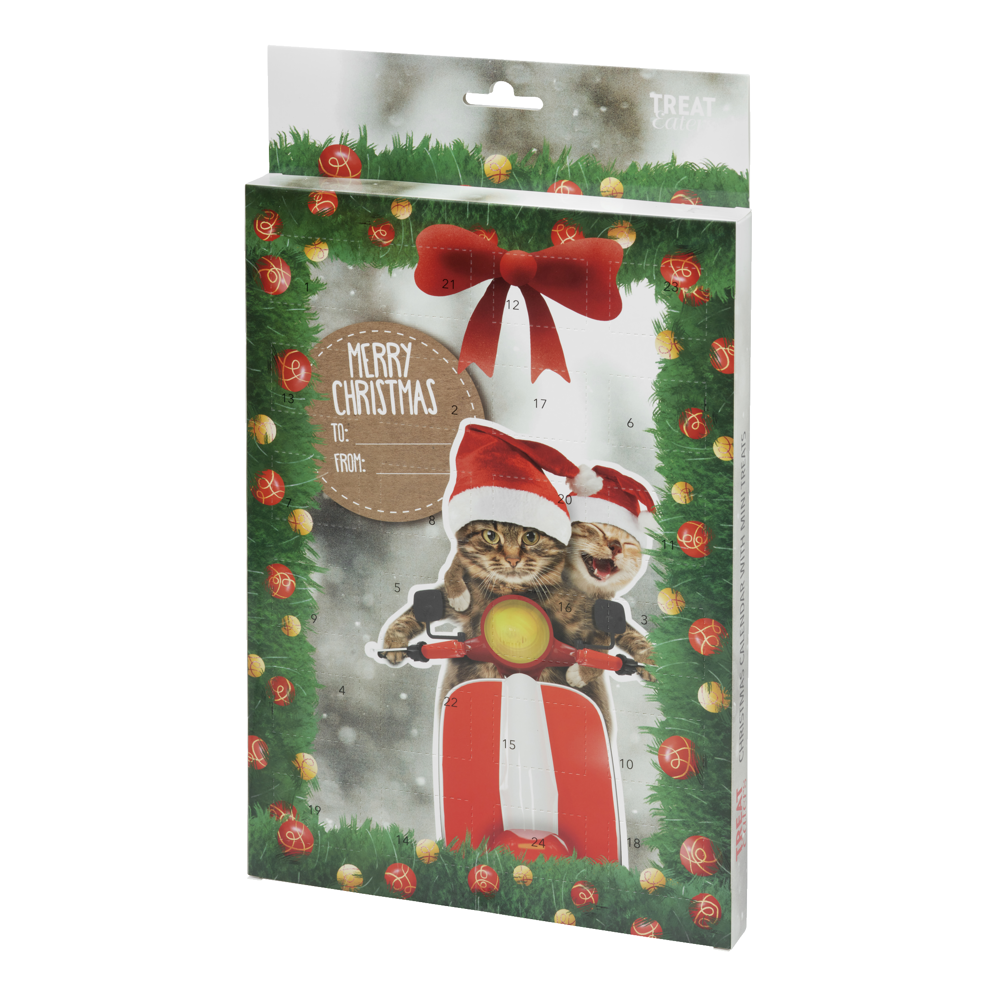 Julkalender för katt