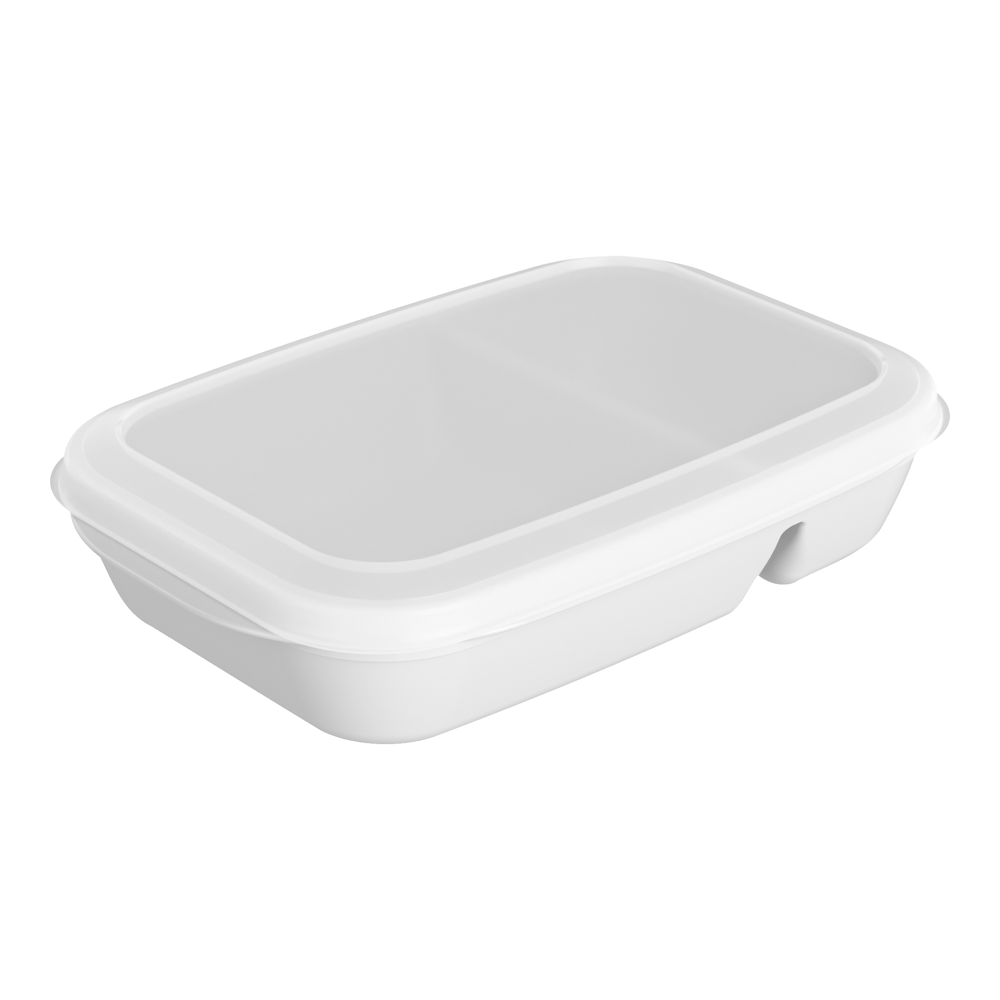 Matlåda med avdelare 1 l
