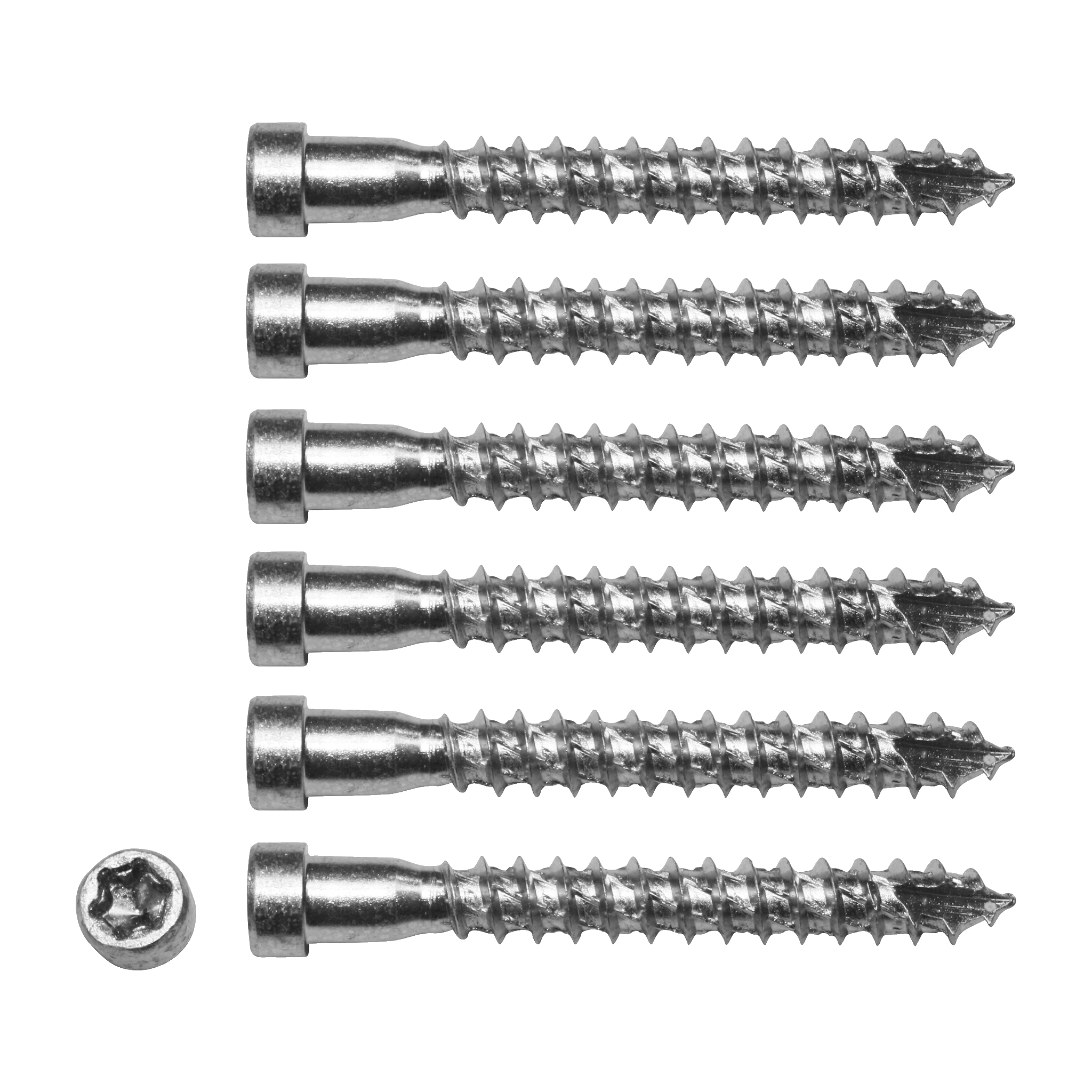 Karmhylseskruvar 6-pk 8,0x65 mm