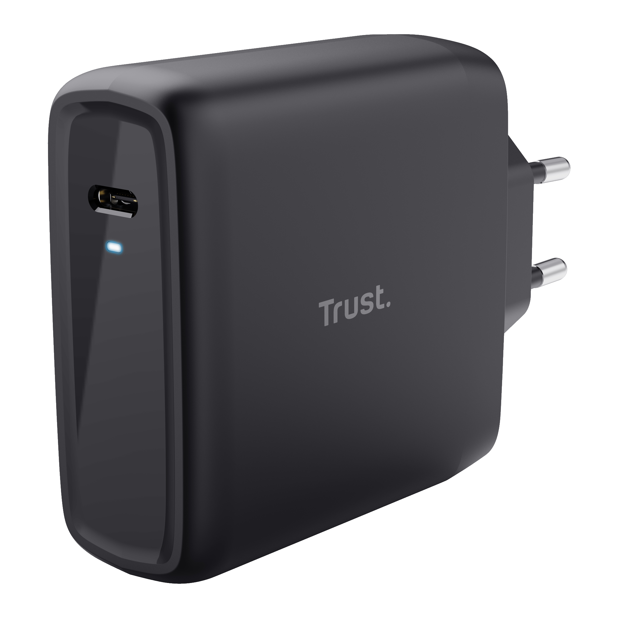 Lader med USB C-kabel 100 W 5-20 V/5 A 110/230 V