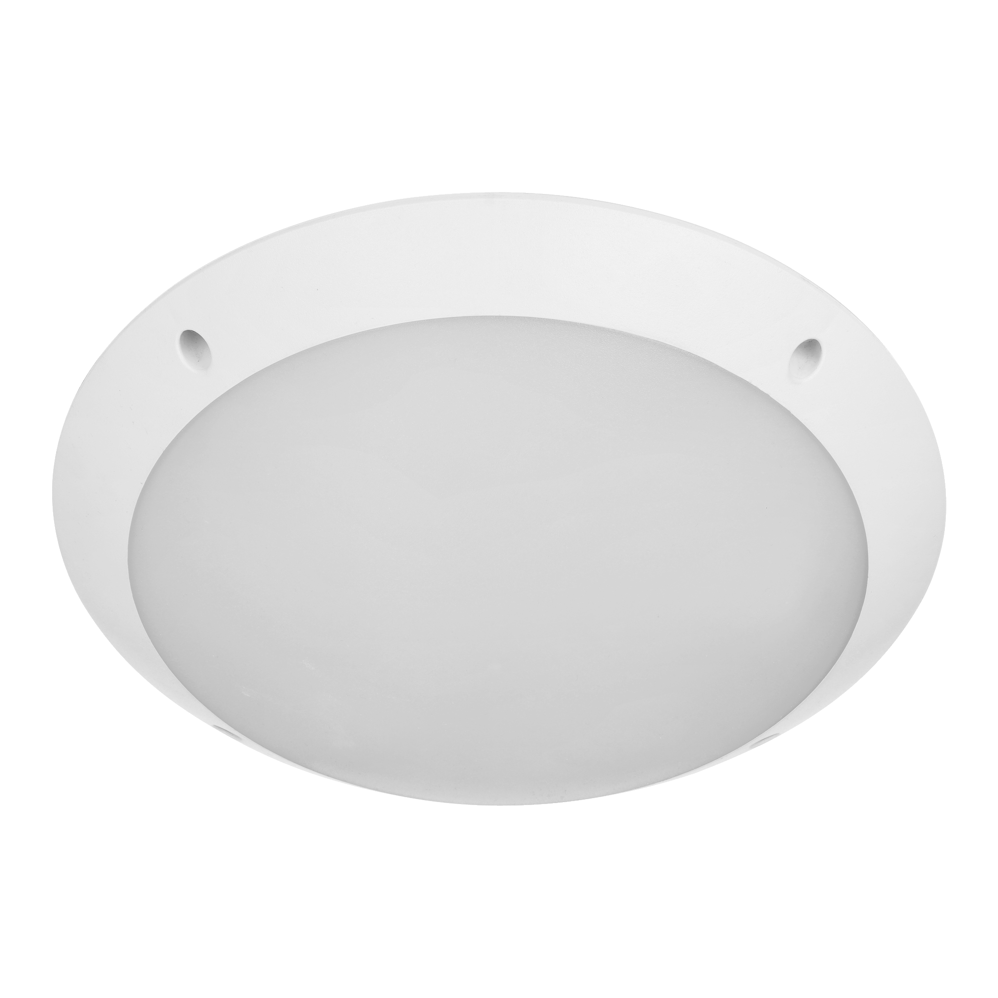 Plafond Ø30 cm E27 IP66