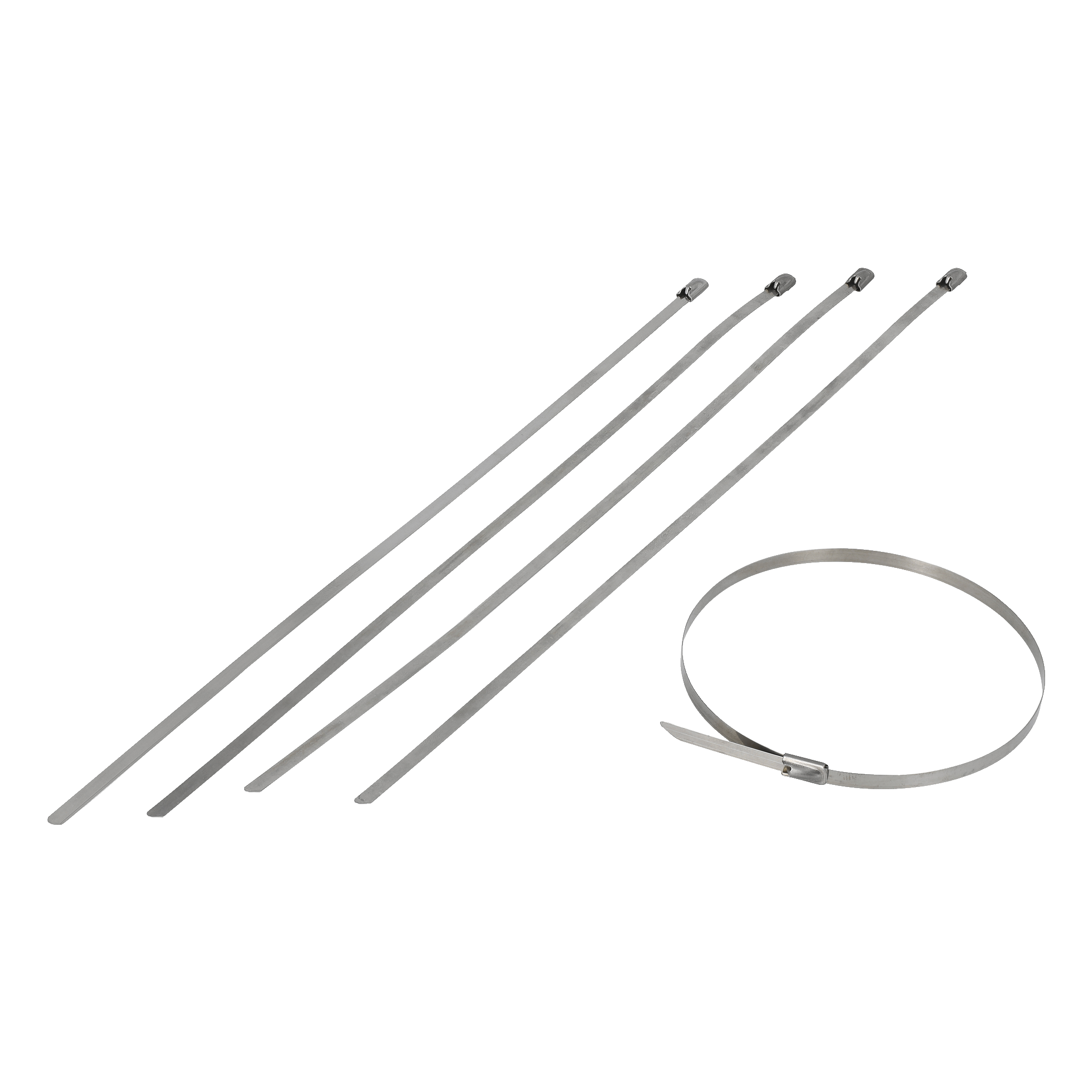 Buntband av rostfritt stål 5-pk 300x4,6 mm