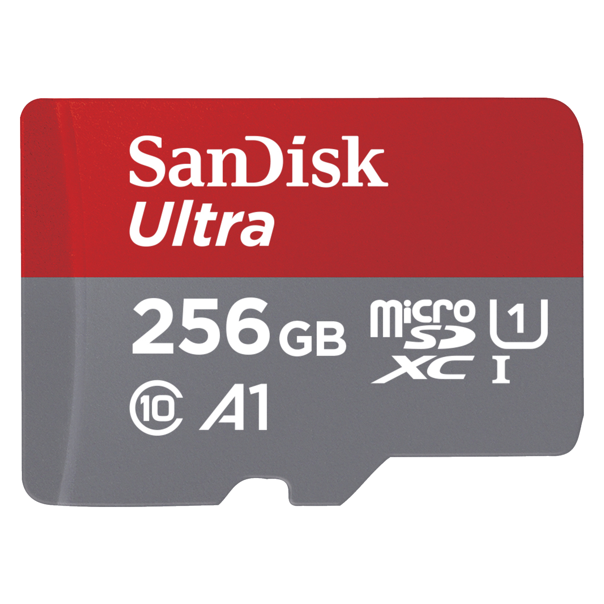 MicroSD-kort 256 GB