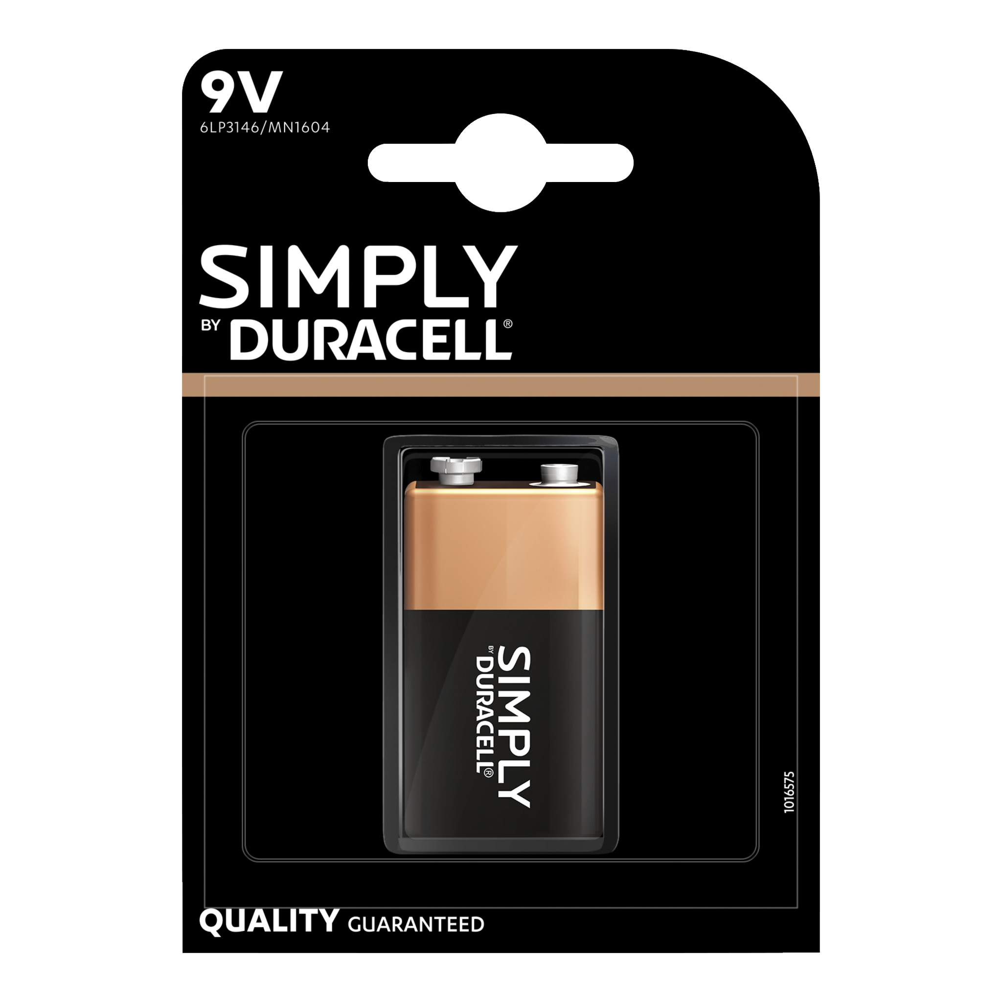 9 V-batteri 1-pk