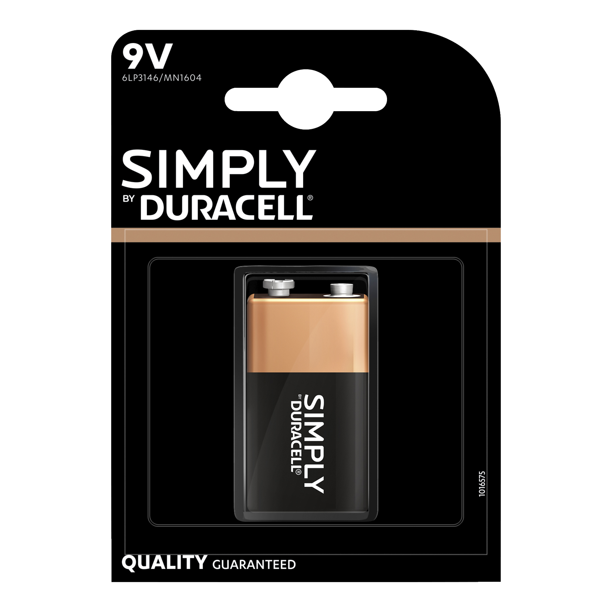 9 V-batteri 1-pk