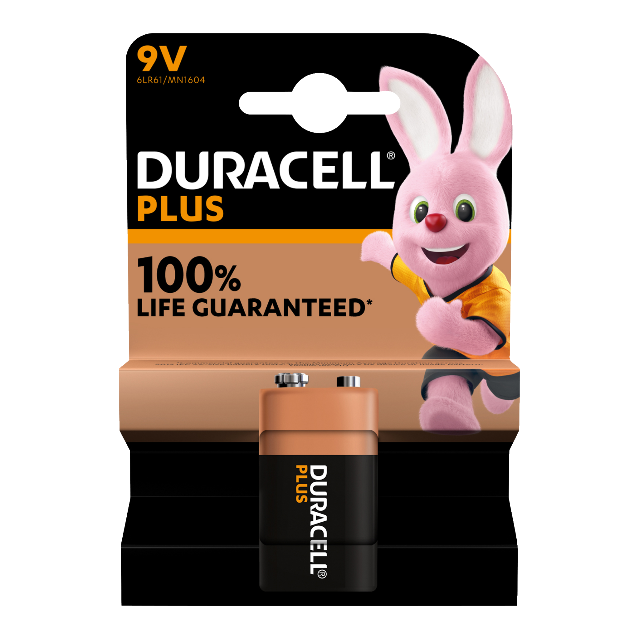 9 V-batteri 1-pk