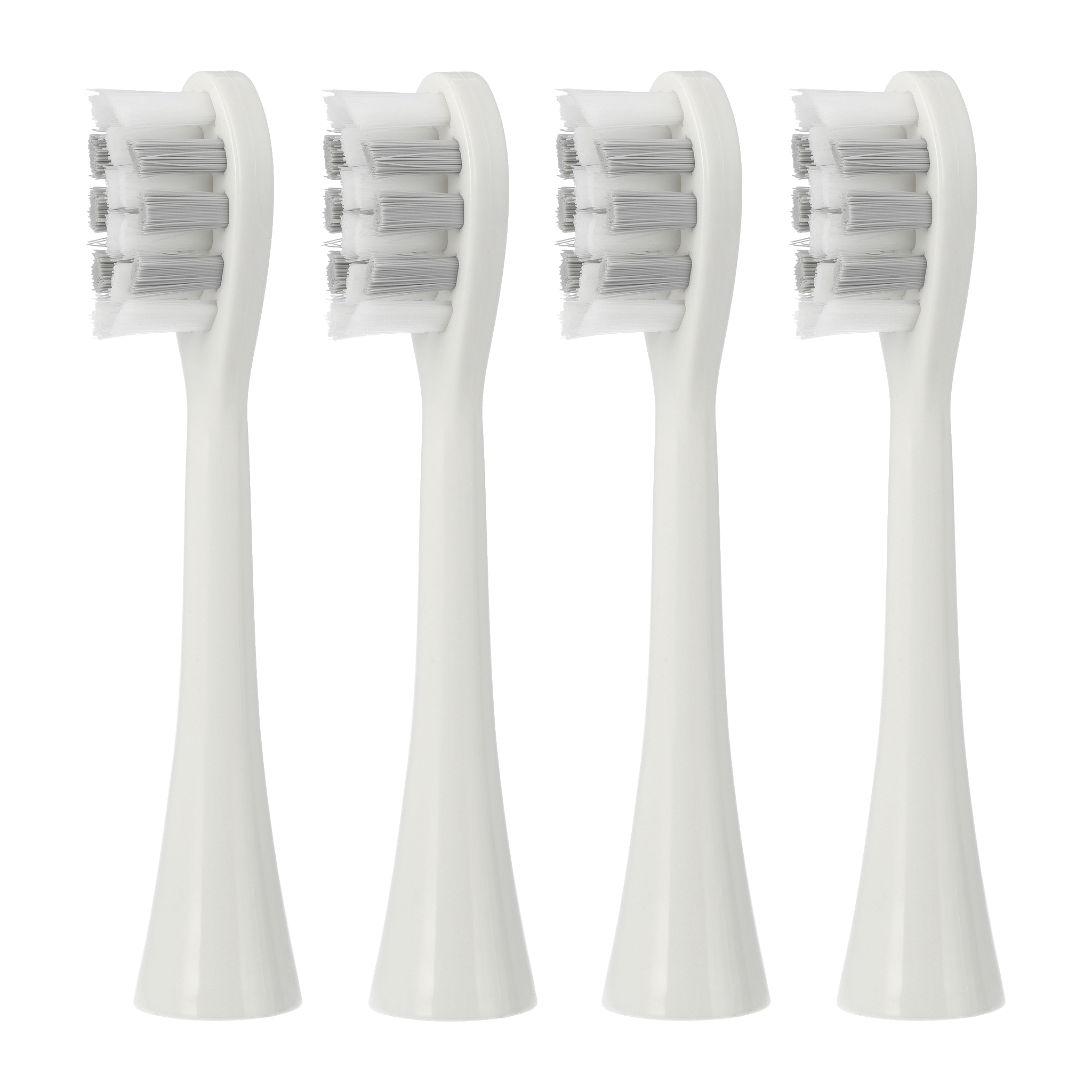 Borsthuvuden 4-pk