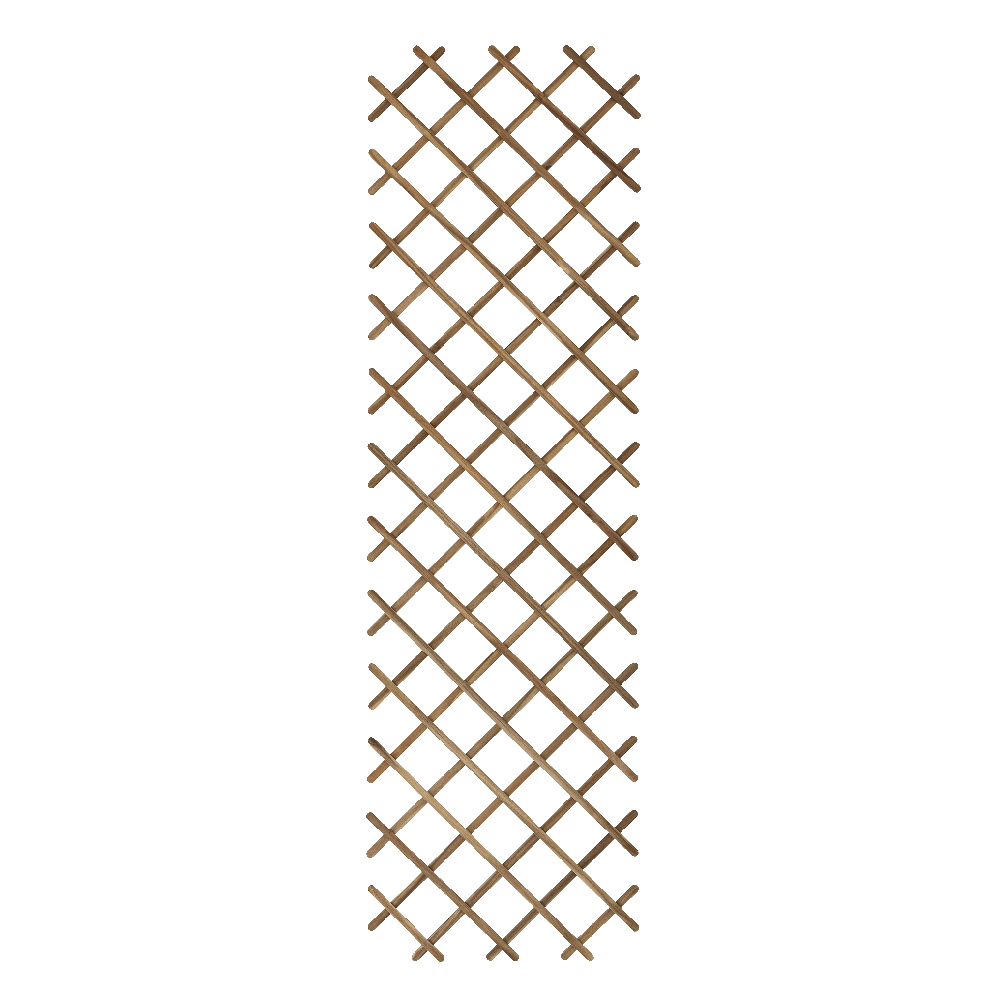 Spaljé 1x2 m
