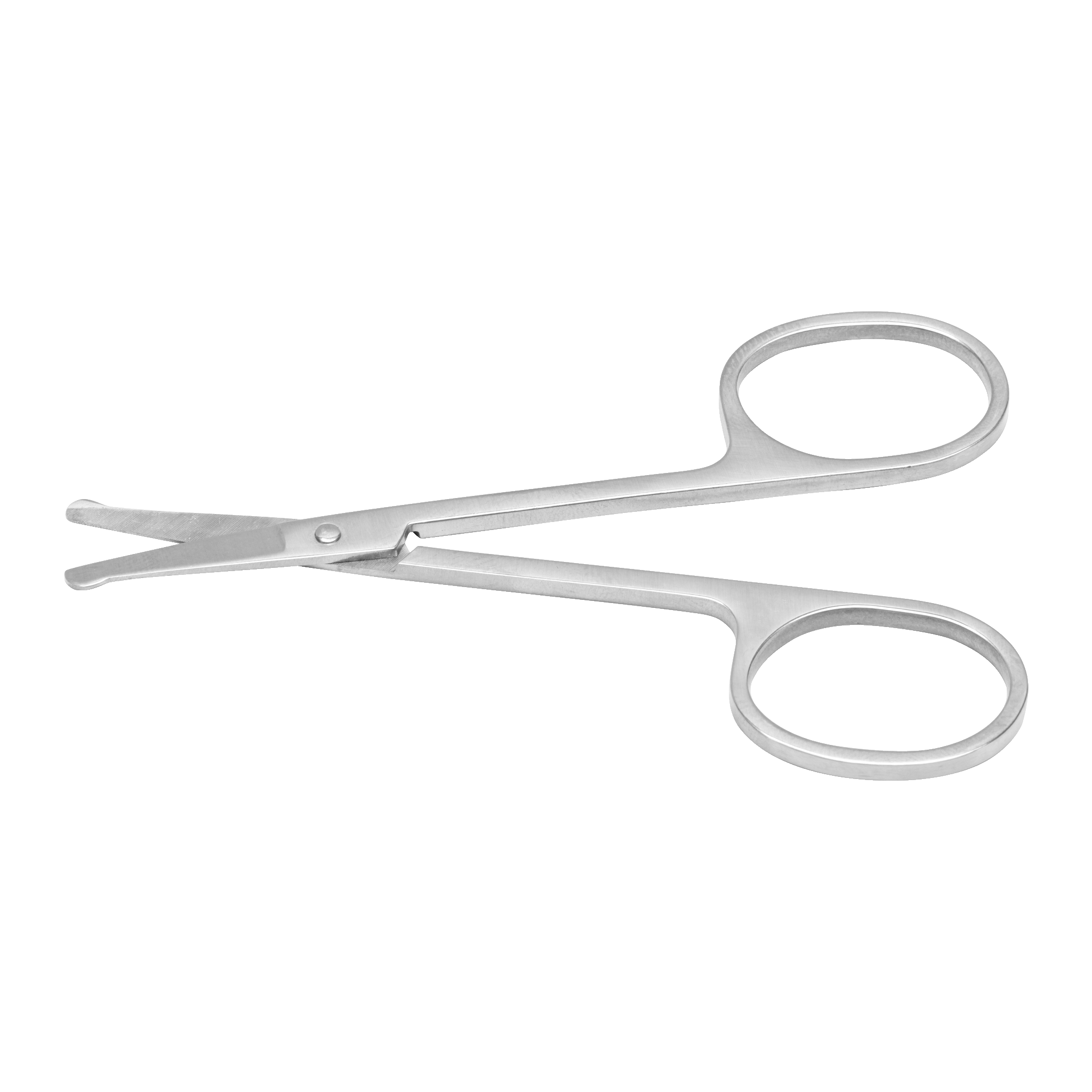 Neglesaks