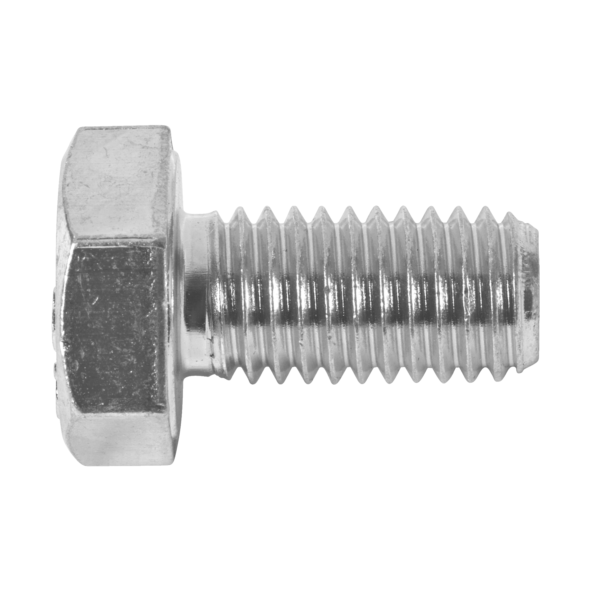 Bolter 10-pk