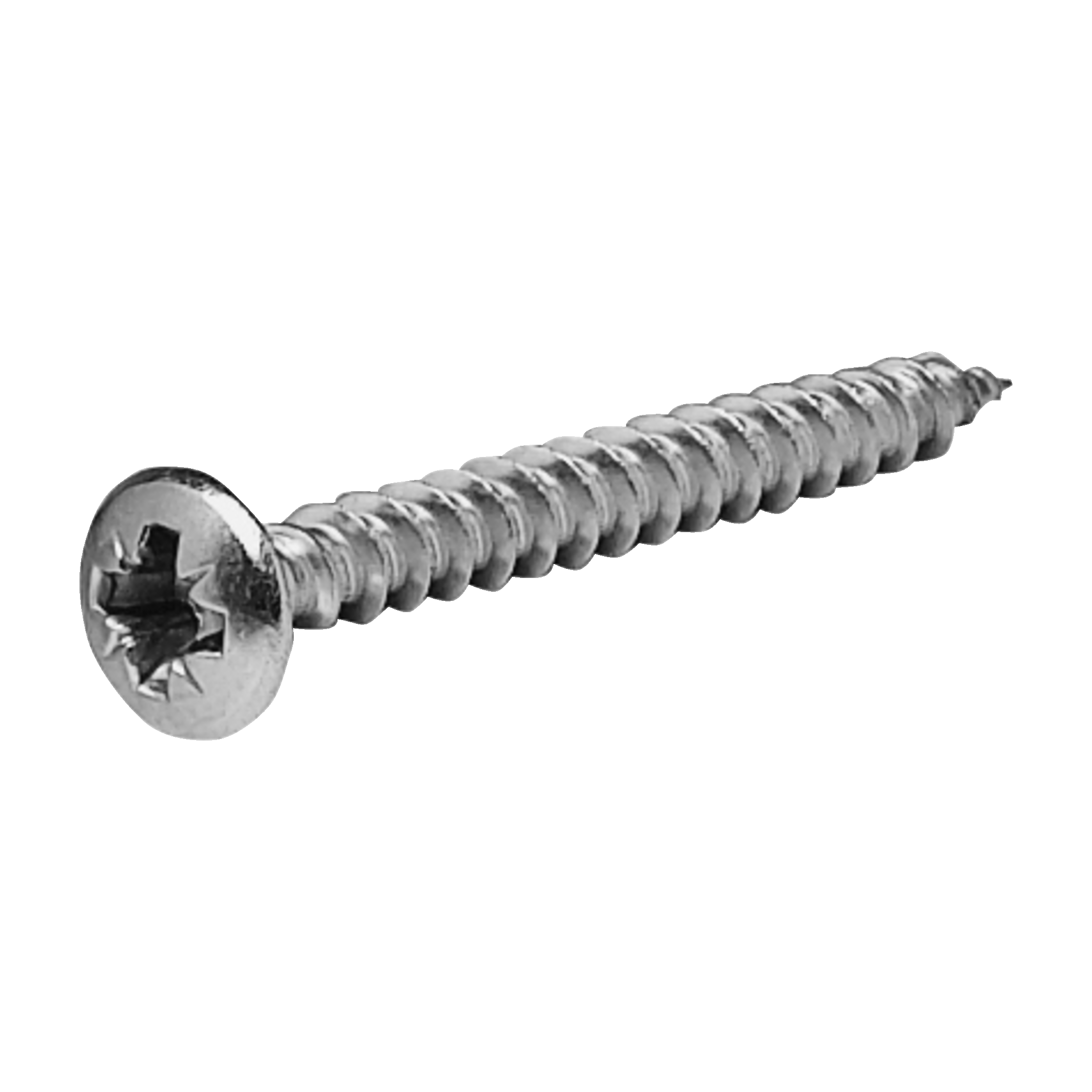VVS-skruer 10-pk 5,5x50 mm