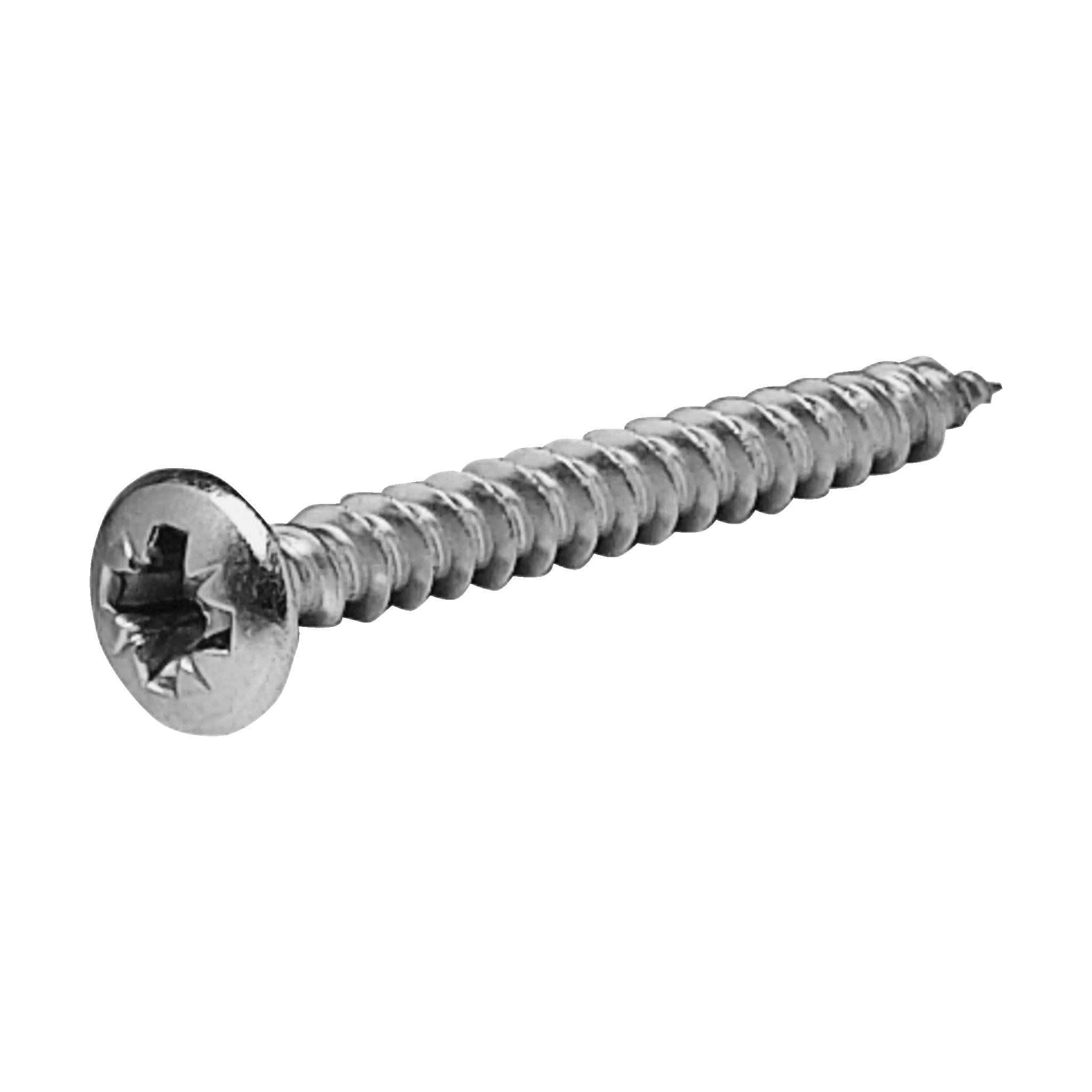 VVS-skruvar 10-pk 5,5x60 mm