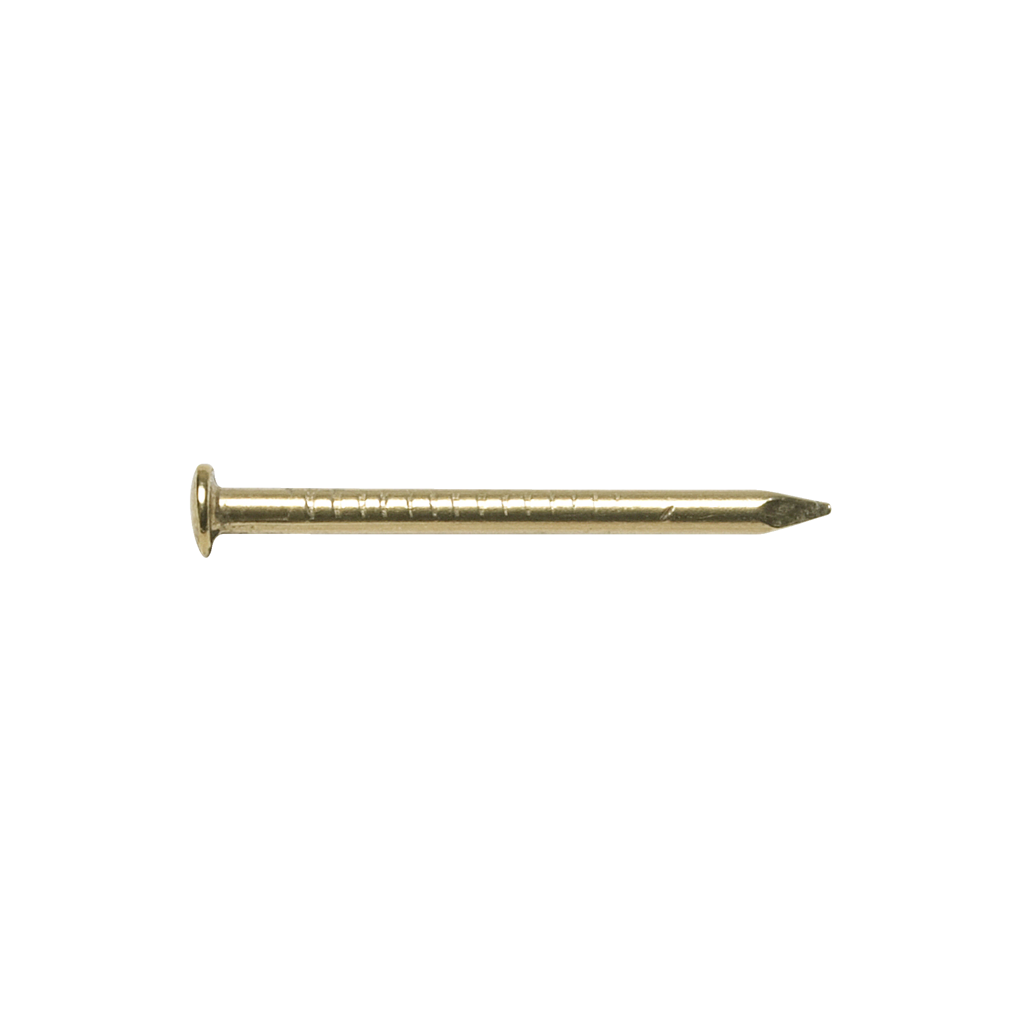 Mässingsspikar 115-pk 1,4x25 mm