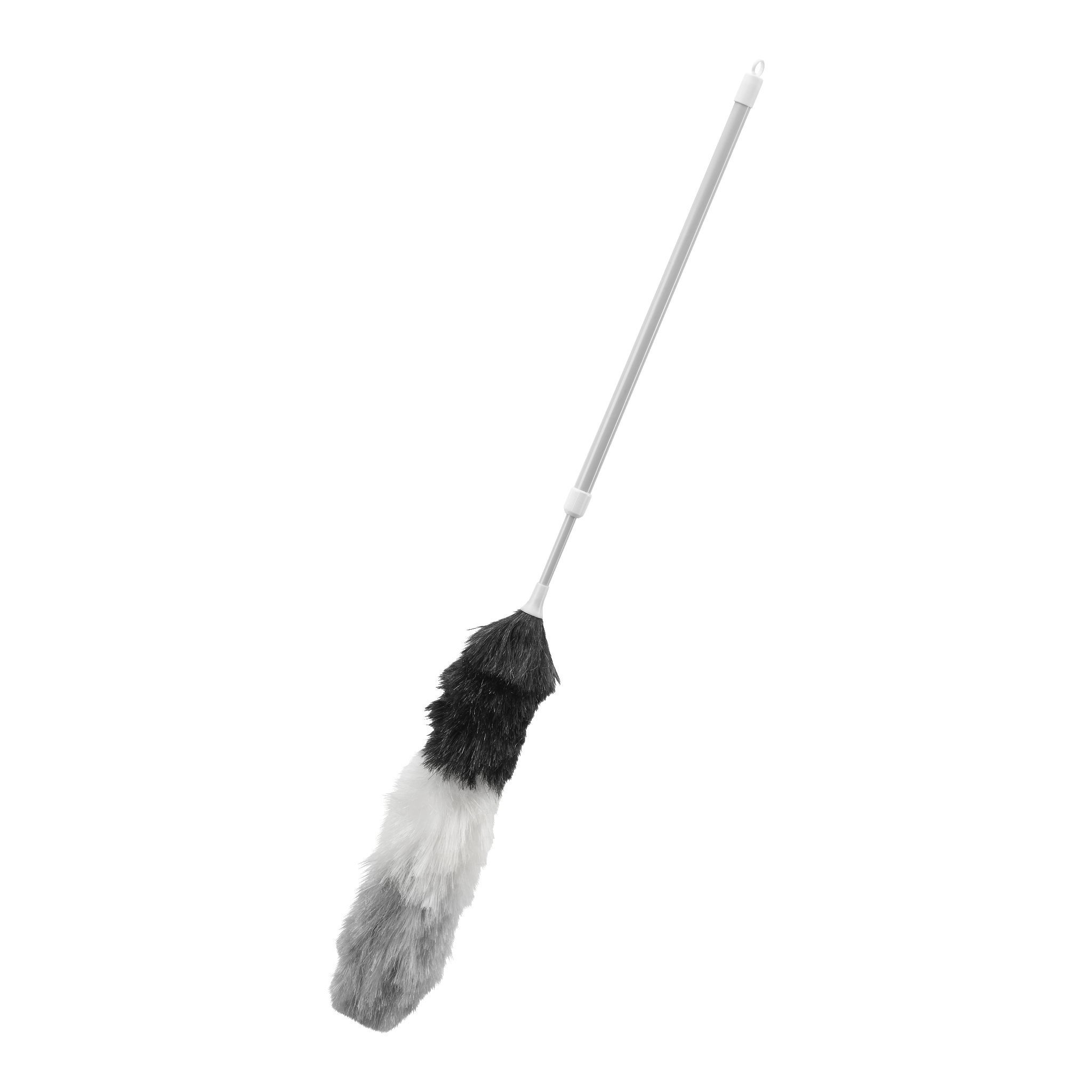 Støvkost