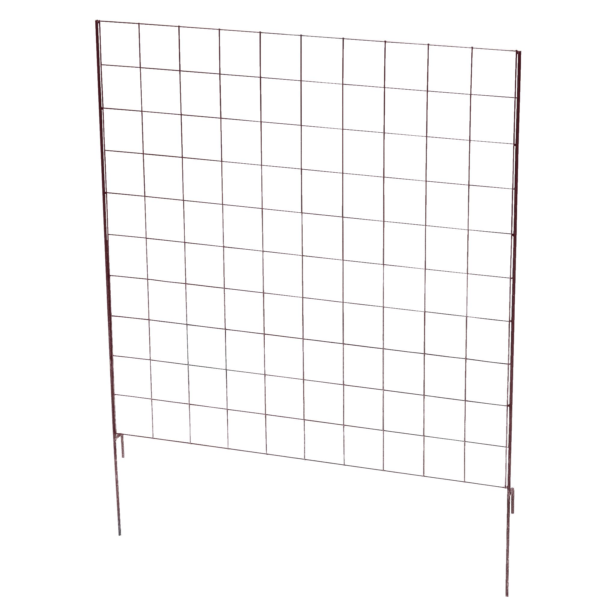 Espalier 74x95 cm