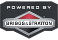 Briggs Stratton