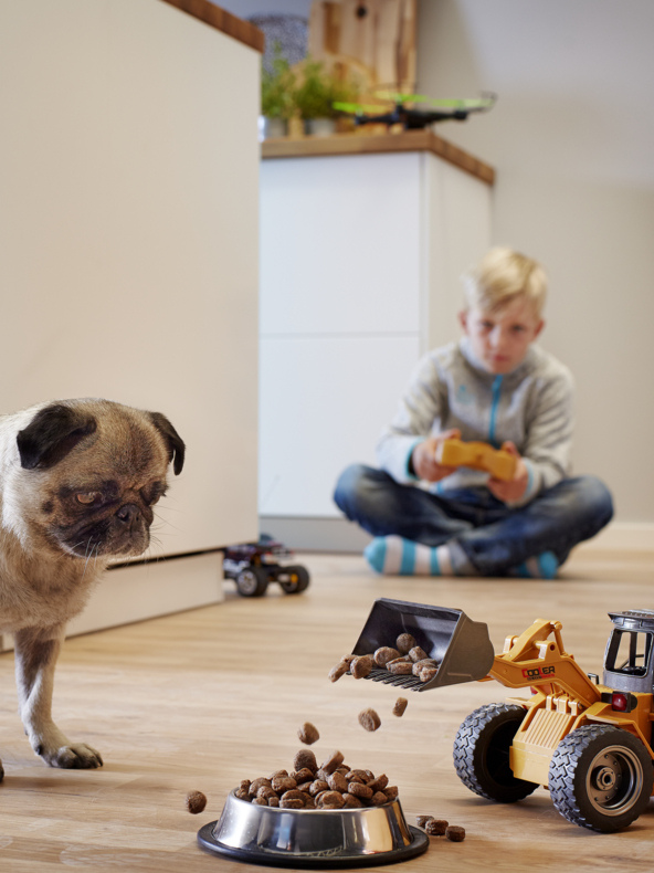 En mops tittar på när en leksaksbulldozer dumpar torrfoder från sin skål; Bakom sitter en pojke med benen i kors och styr leksaken med en fjärrkontroll.