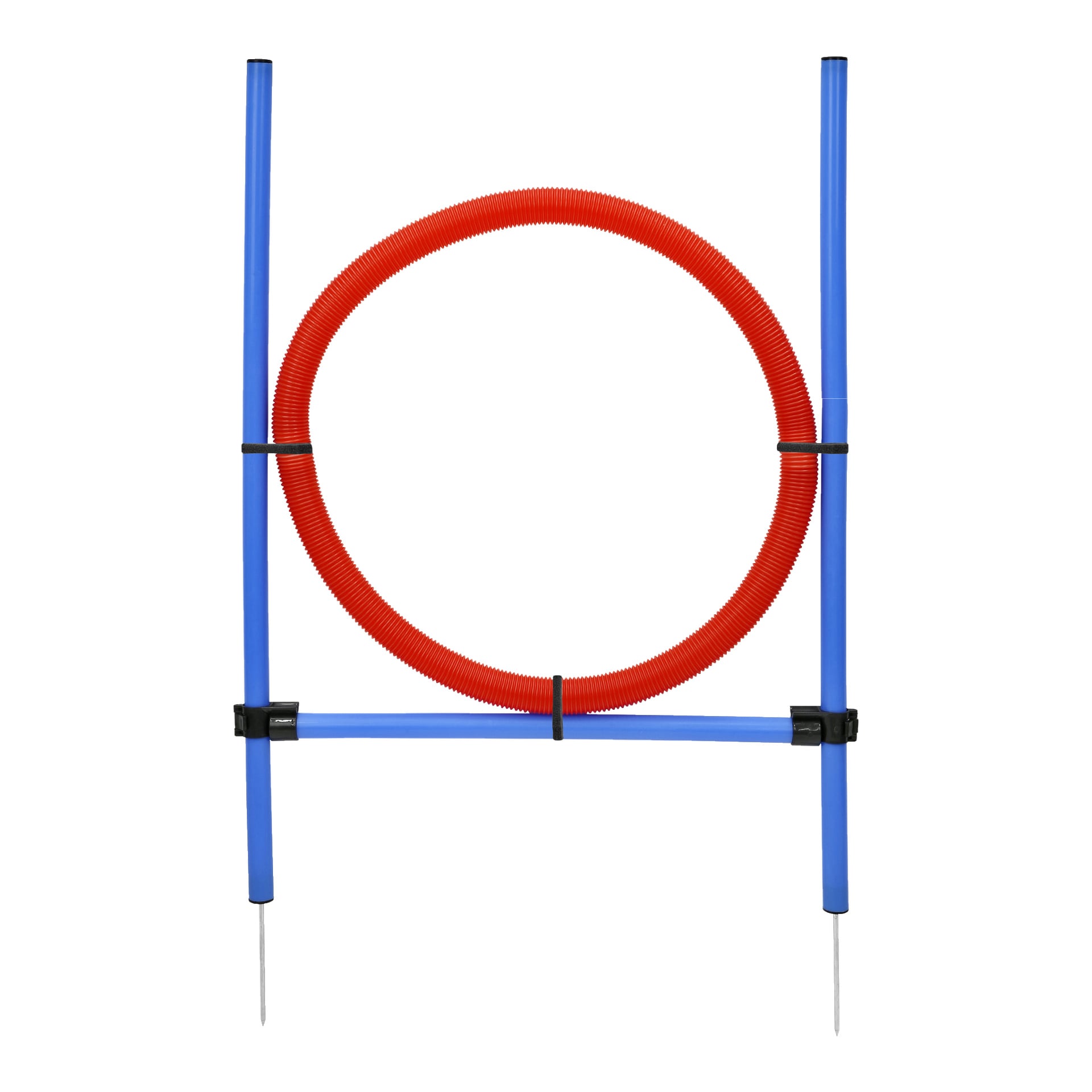 Der Kayoba Agility-Sprungring besteht aus einem roten flexiblen Ring, der von blauen Kunststoffstangen mit Metallspitzen und schwarzen Clips gestützt wird und eine Schlaufe bildet, die für das Training genutzt wird.