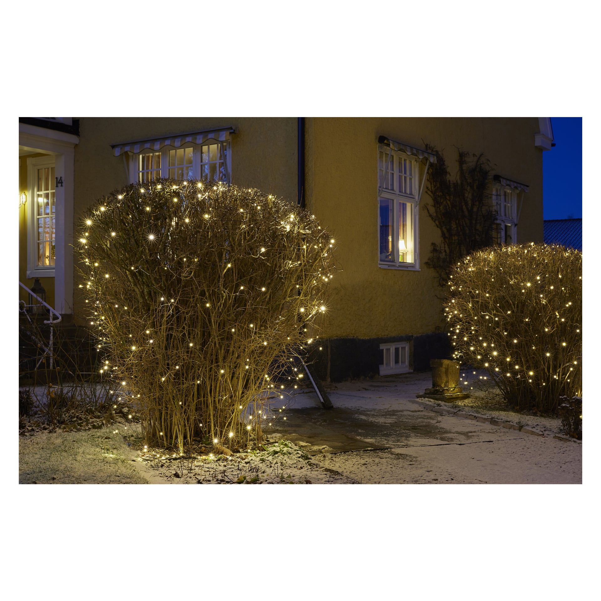Dwa krzewy przed żółtym domem nocą pokryte są diodami LED EKVIP Light Net, tworząc świąteczny blask. Podświetlone okna i lekki posyp śniegu potęgują zimową atmosferę.