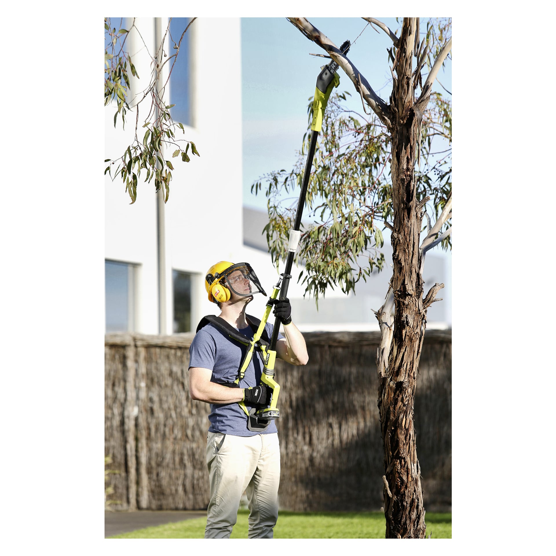 En person som använder en Ryobi Garden Machines RAC805 med sele beskär trädgrenar med en elektrisk stolpssåg medan han står på gräs, med en vit byggnad och ett vävt staket i bakgrunden.