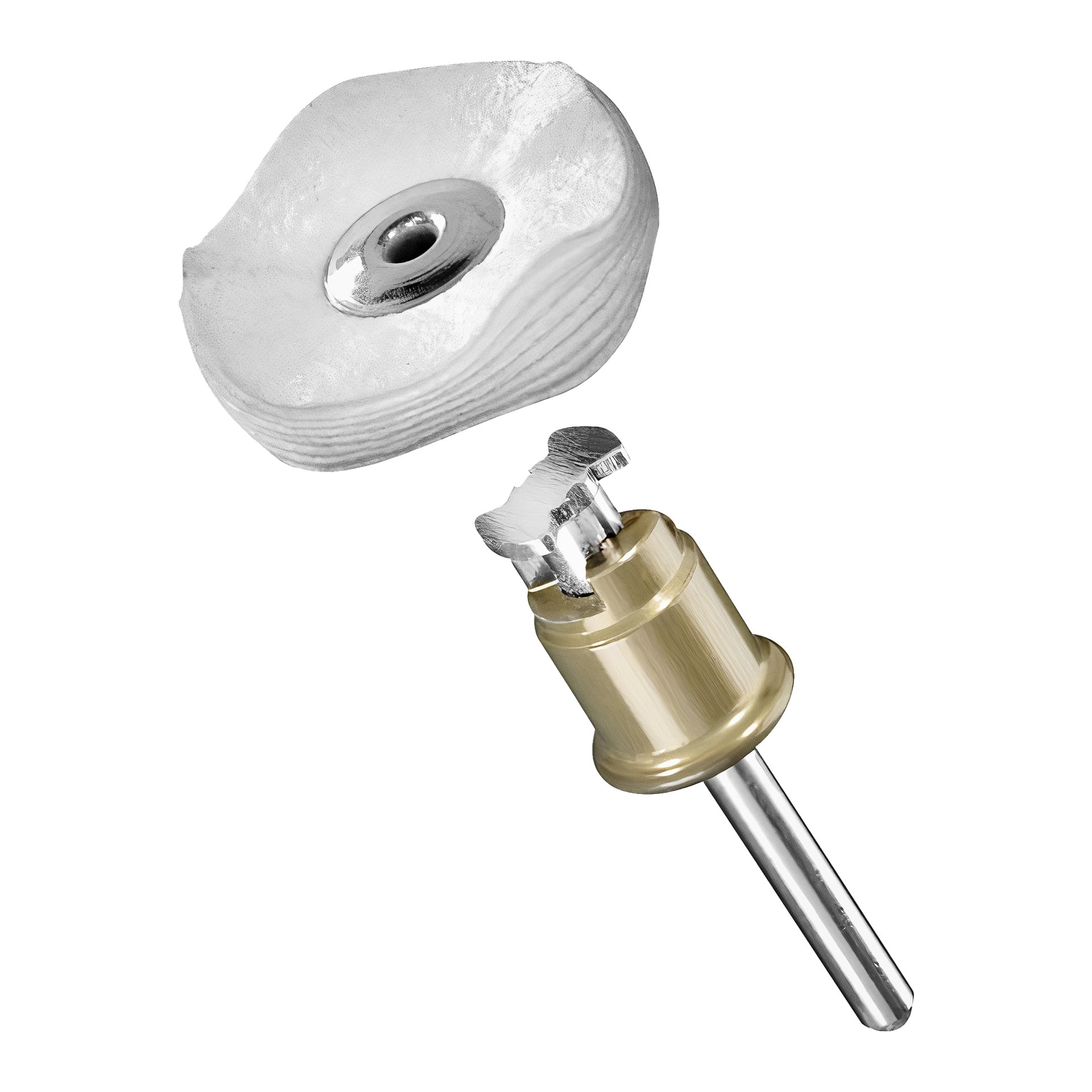 En Dremel Polishing Disc 423S visas och framhäver dess runda metalliska form med varumärket lätt att se.