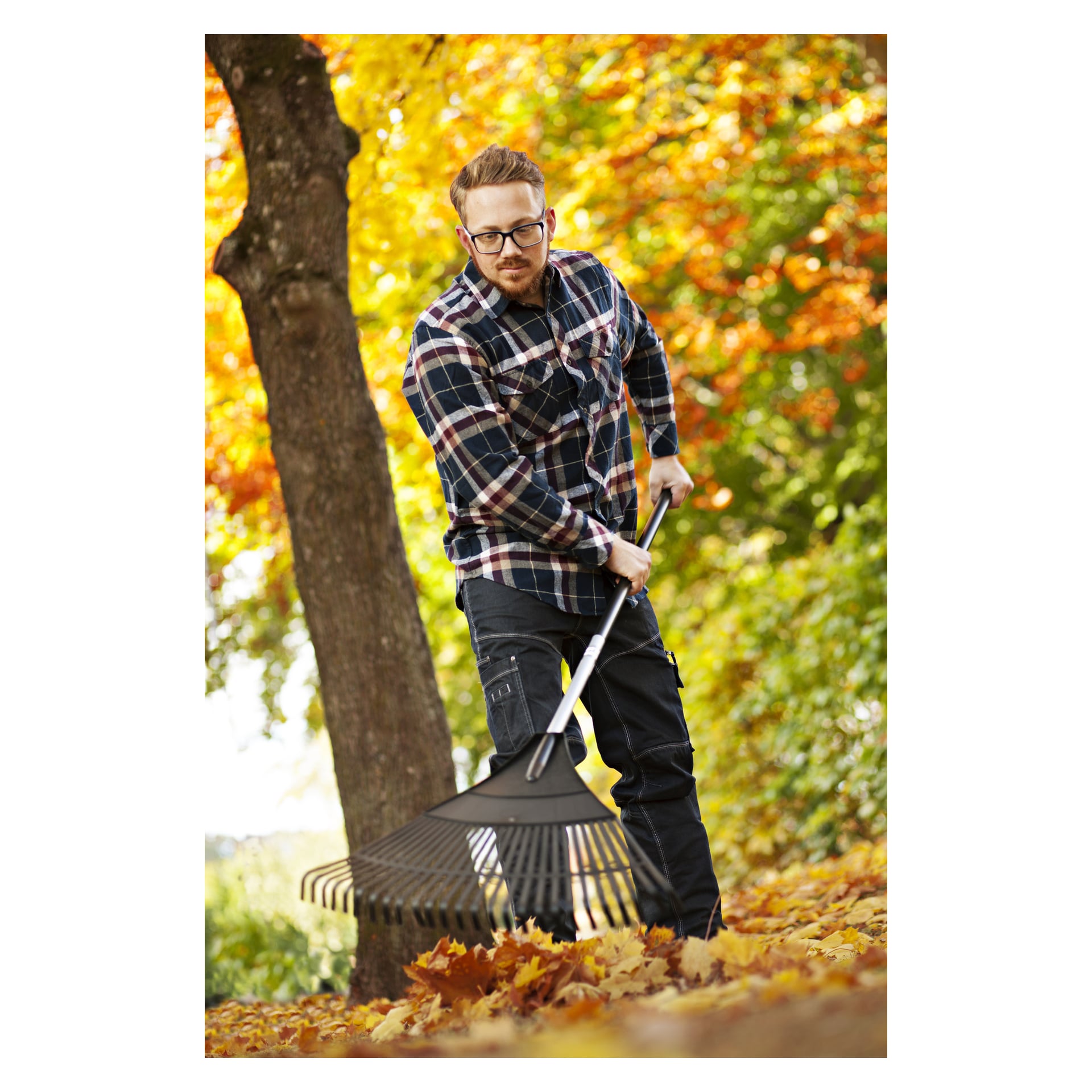 En man med glasögon och rutig skjorta samlar höstlöv med hjälp av Hard Head Rake, omgiven av träd med gula och orange blad i en park eller trädgård.