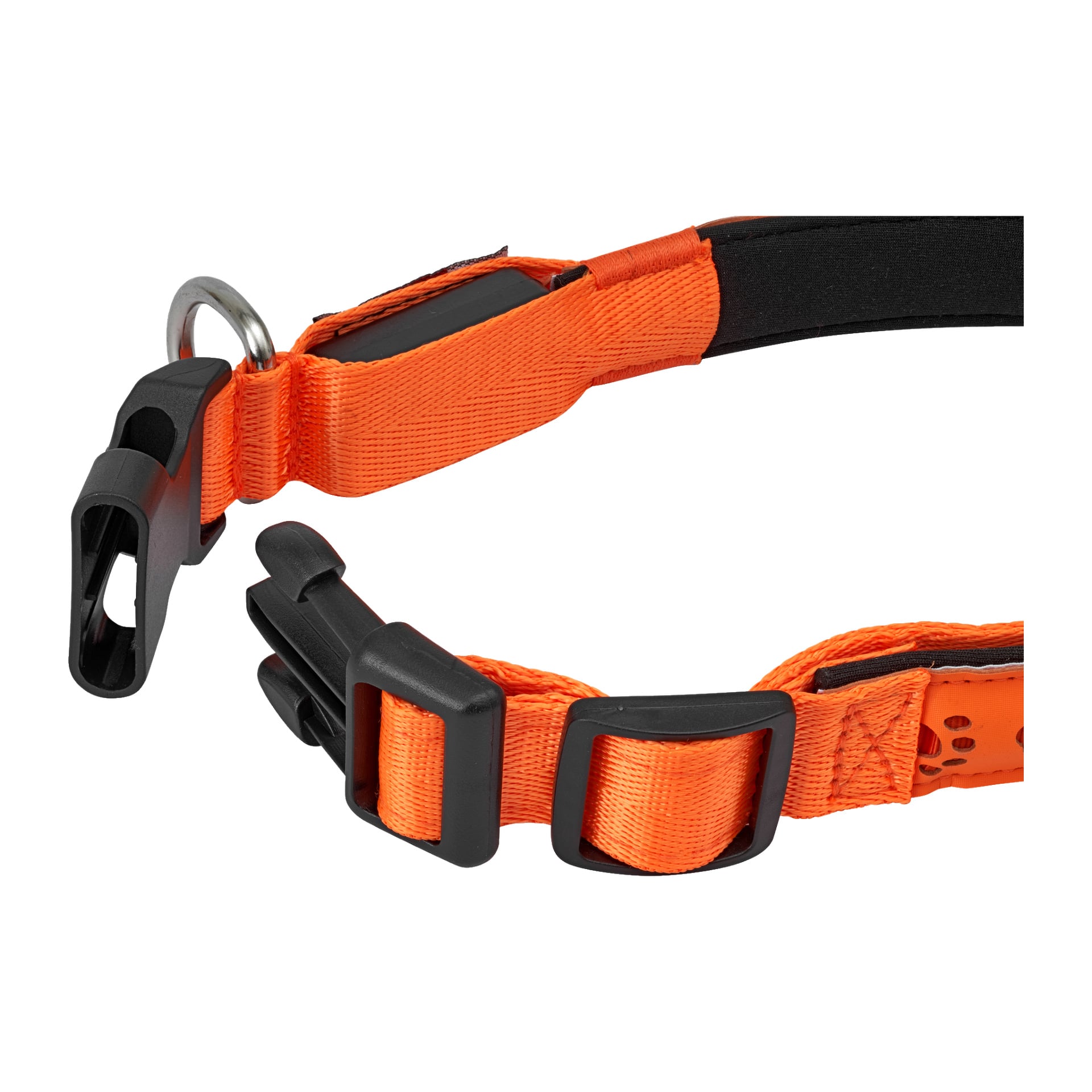 Kayoban Dog Collar LED on oranssi säädettävä nailonpanta, jossa on musta muovisolki, metallinen D-rengas ja mustat liukusäätimet.