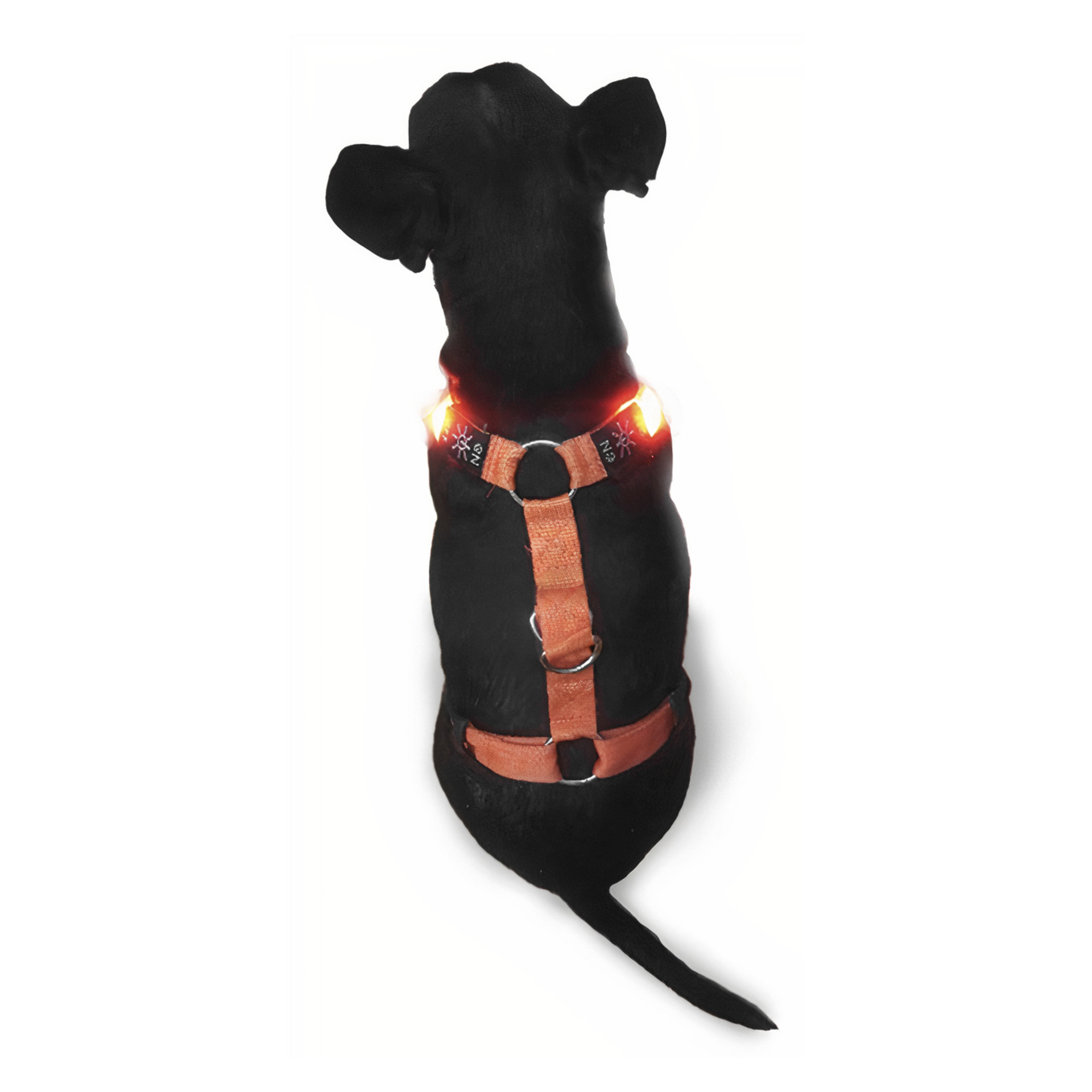 LED-Hundegeschirr M | Drei Lichtmodi | Petcare | Jula