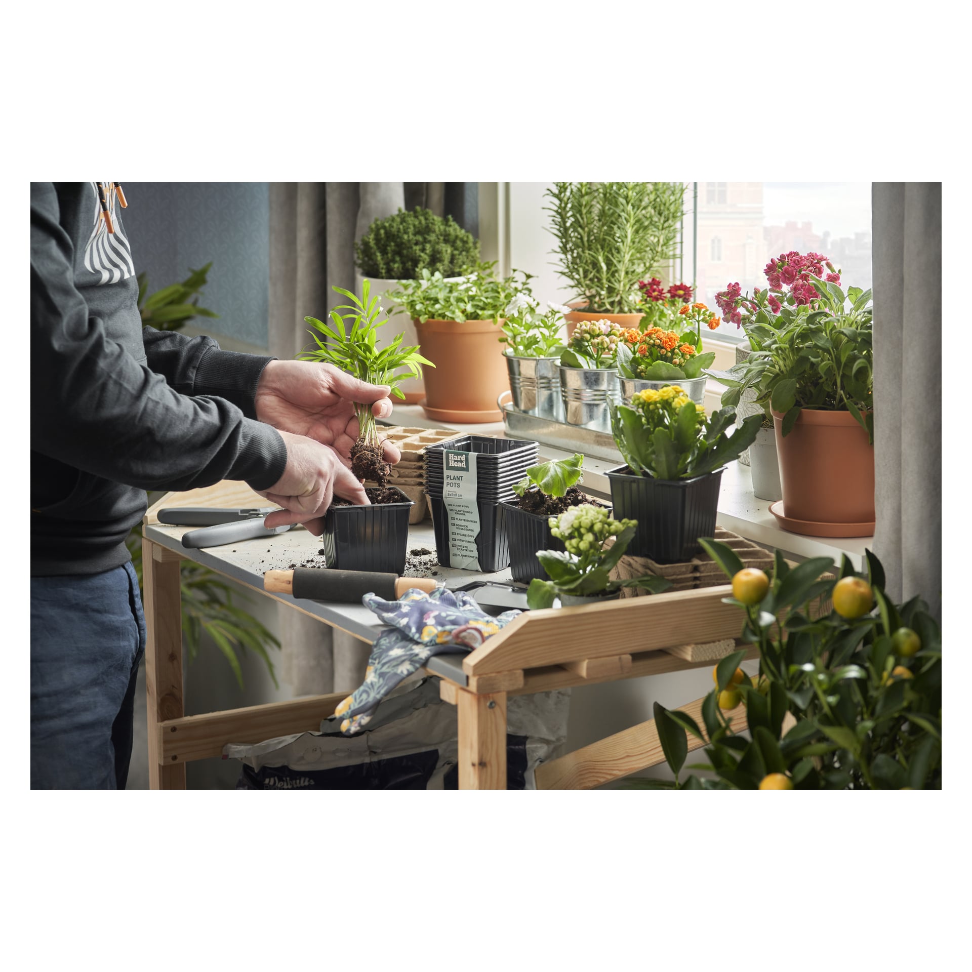 Någon planterar om växter vid ett träbord vid ett fönster. Ytan rymmer flera Hard Head Plant Pots (paket om 20), trädgårdsredskap, jord och växtetiketter. Solljuset strömmar in på arrangemanget från fönstret.