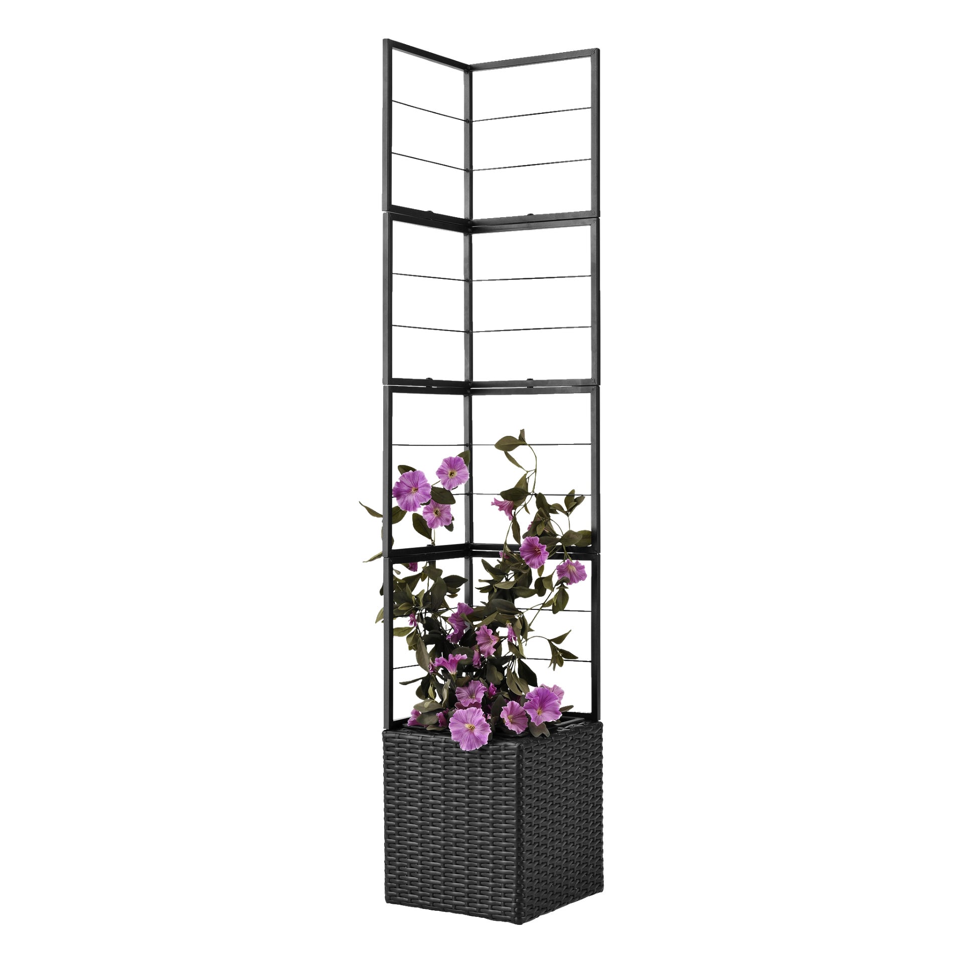 Eck-Pflanzkasten mit Rankgitter 31x165 cm | Hard Head | Jula