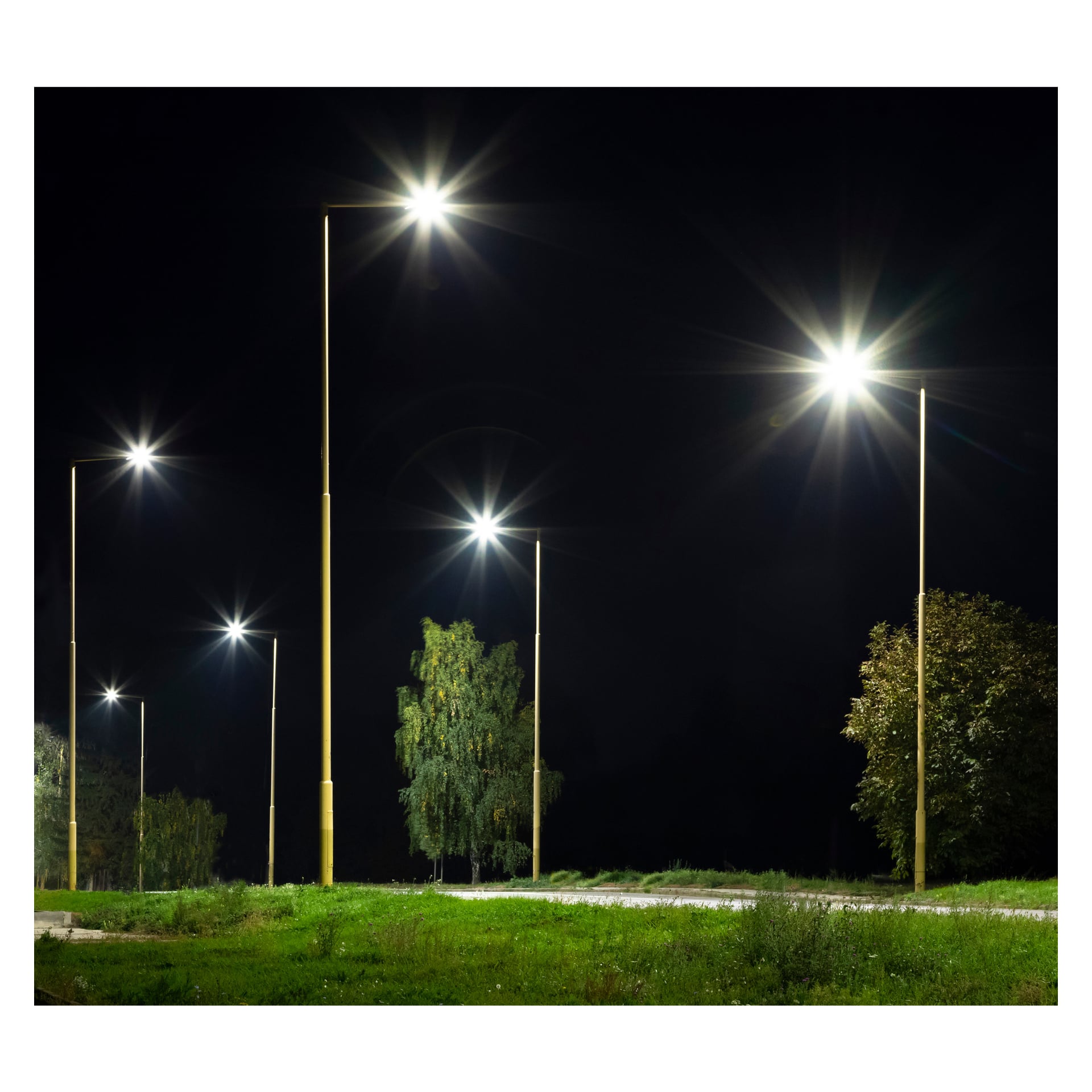 LED-Anslut-gatlyktor lyser upp ett gräsbevuxet område på natten och kastar starkt ljus längs en gångväg. Gröna träd och buskar dyker upp i bakgrunden under den mörka himlen.