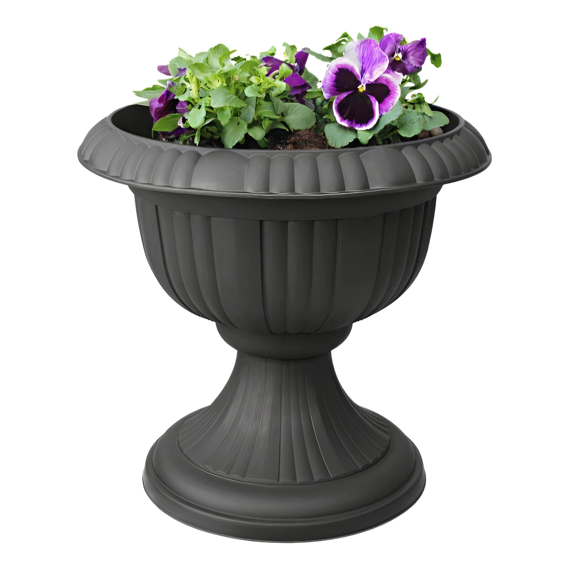 En Hard Head Trophy Pot med mörkgrå, räfflad sockelbas och bred rund kant rymmer gröna bladväxter och lila penséblommor.
