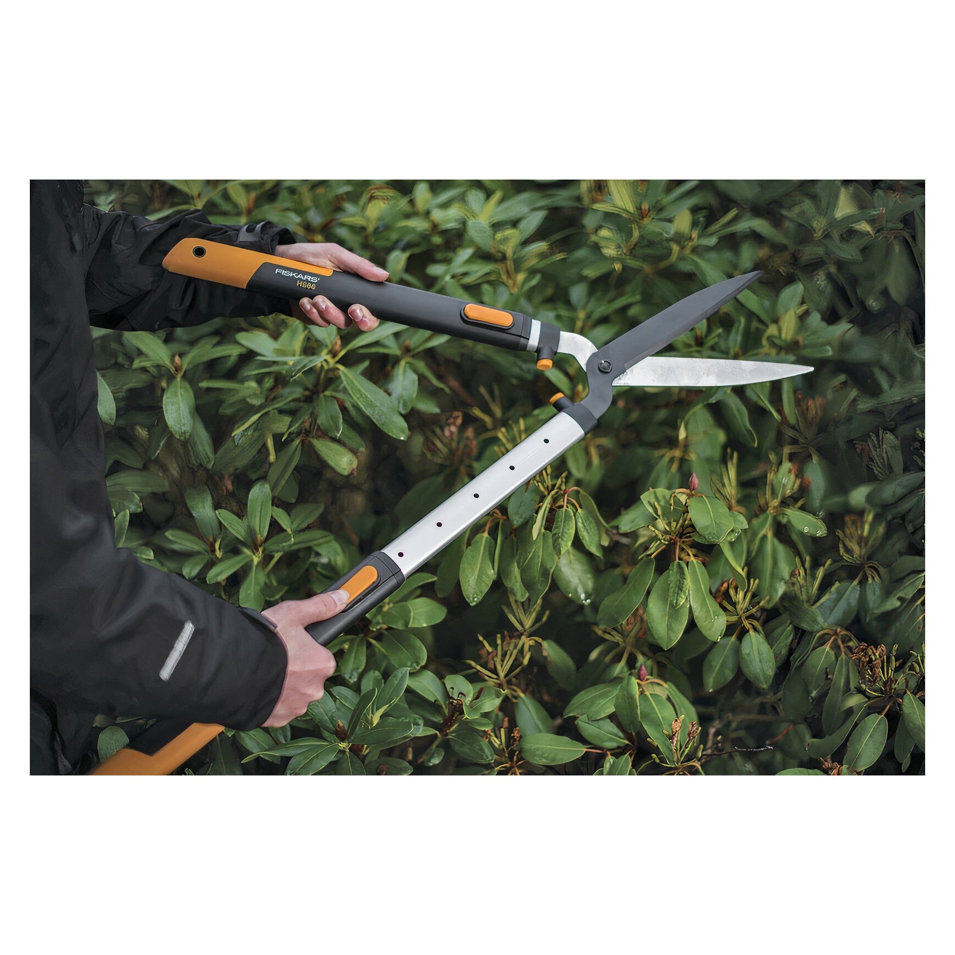 Jemand schneidet grüne Büsche mit dem Fiskars Teleskopheckenschneider SmartFit HS86, der schwarze und orangefarbene Griffe hat. Das Bild hebt ihre Hände, den Heckenschneider und den Busch hervor, während dahinter laubige Äste sichtbar sind.