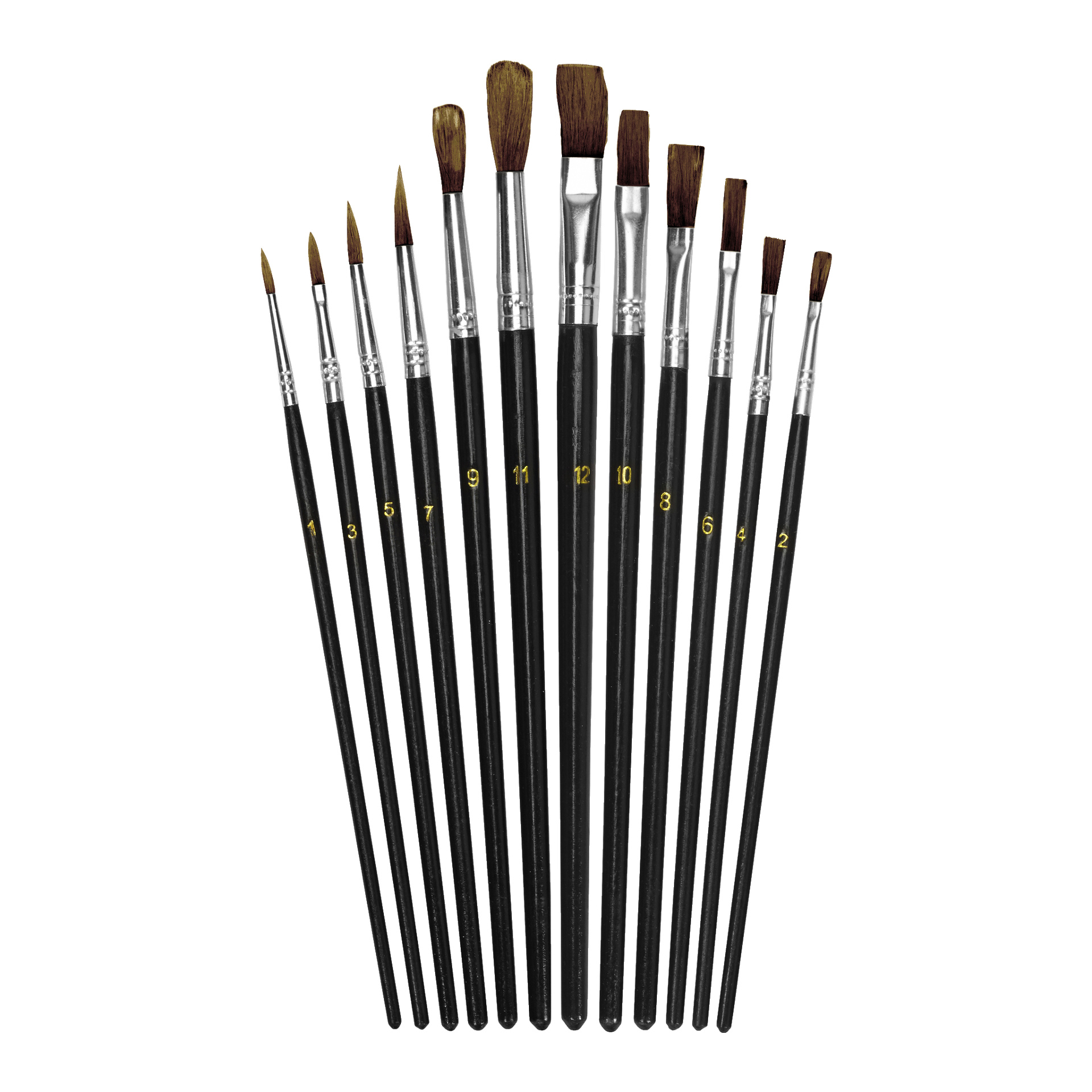 Ett Hard Head Brush-set med 12-pack med tolv penslar med svarta handtag och metallhylsor arrangerade i en solfjäderform, var och en märkt med ett guldnummer från 1 till 12.