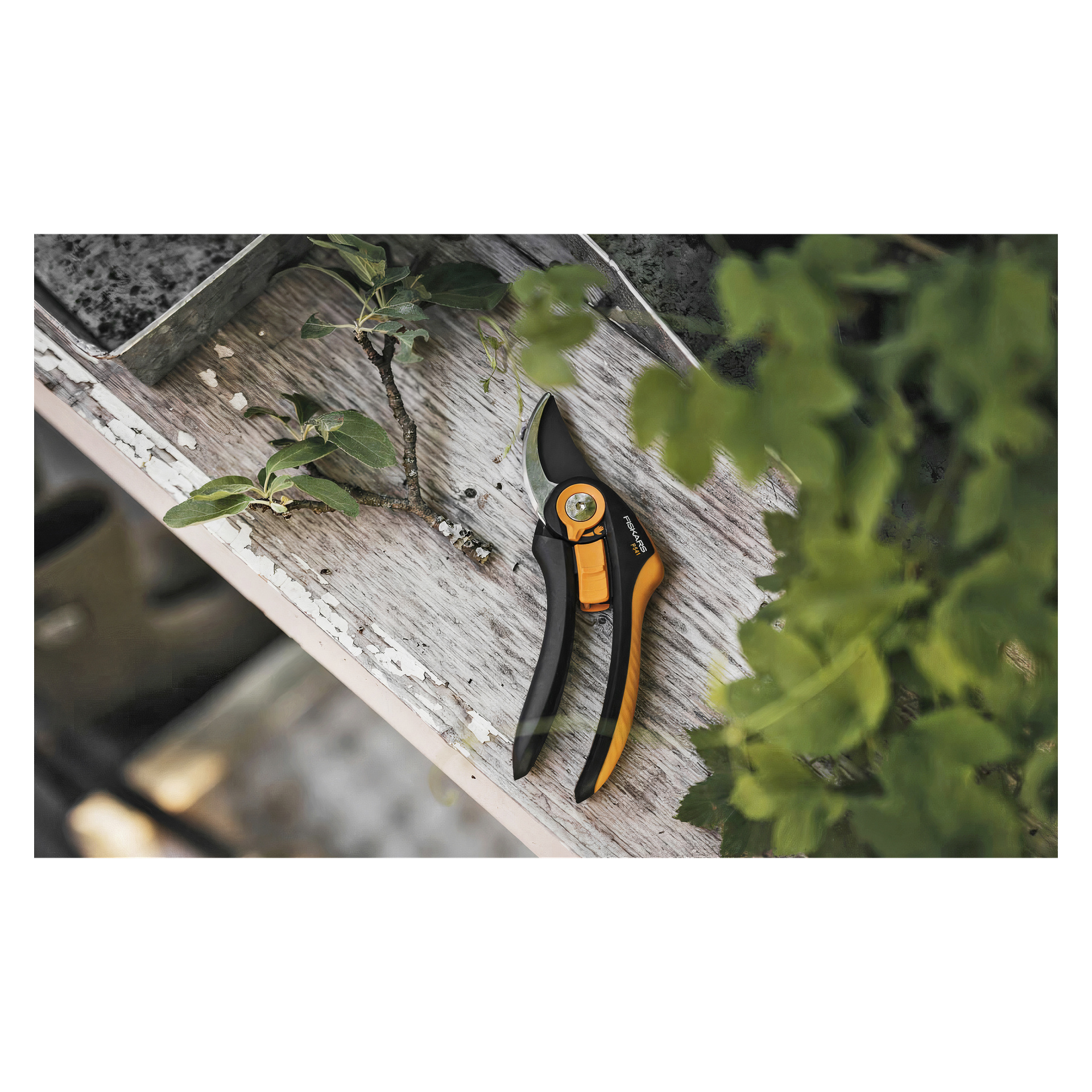 Die Fiskars-Scheren P541, die schwarze und orange Farben aufweisen, liegen auf einer verwitterten Holzoberfläche neben einem kleinen Ast und einigen grünen Pflanzen.