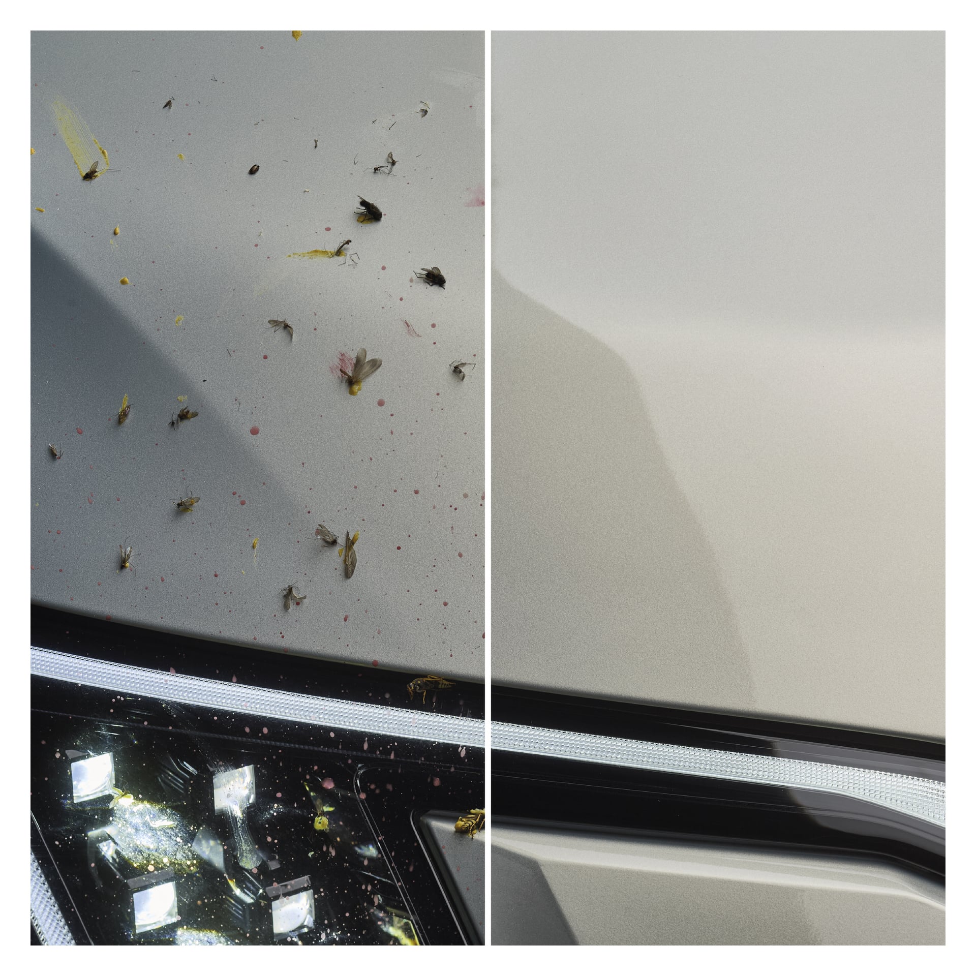 Bilpanseret delt syn: venstre side skitten av insekter og skitt, høyre side skinnfri etter Sonax Insect Remover; Frontlykt synlig nedenfor.