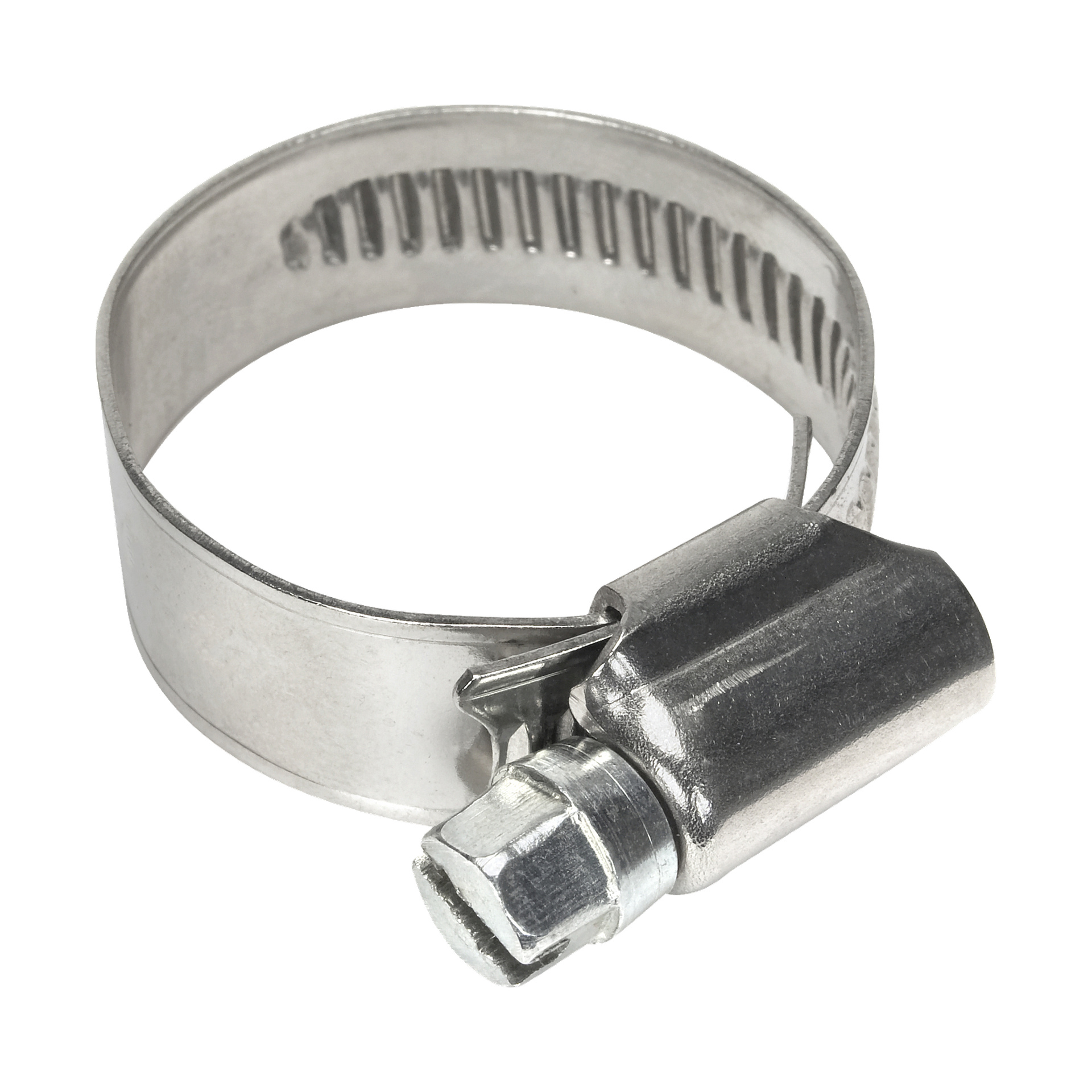 En närbild av öppna 2-pack Hard Head Hose-klämmor visar skruvhuset tydligt framför; Dessa metallklämmor är avsedda att fästa slangar ordentligt i kopplingar.