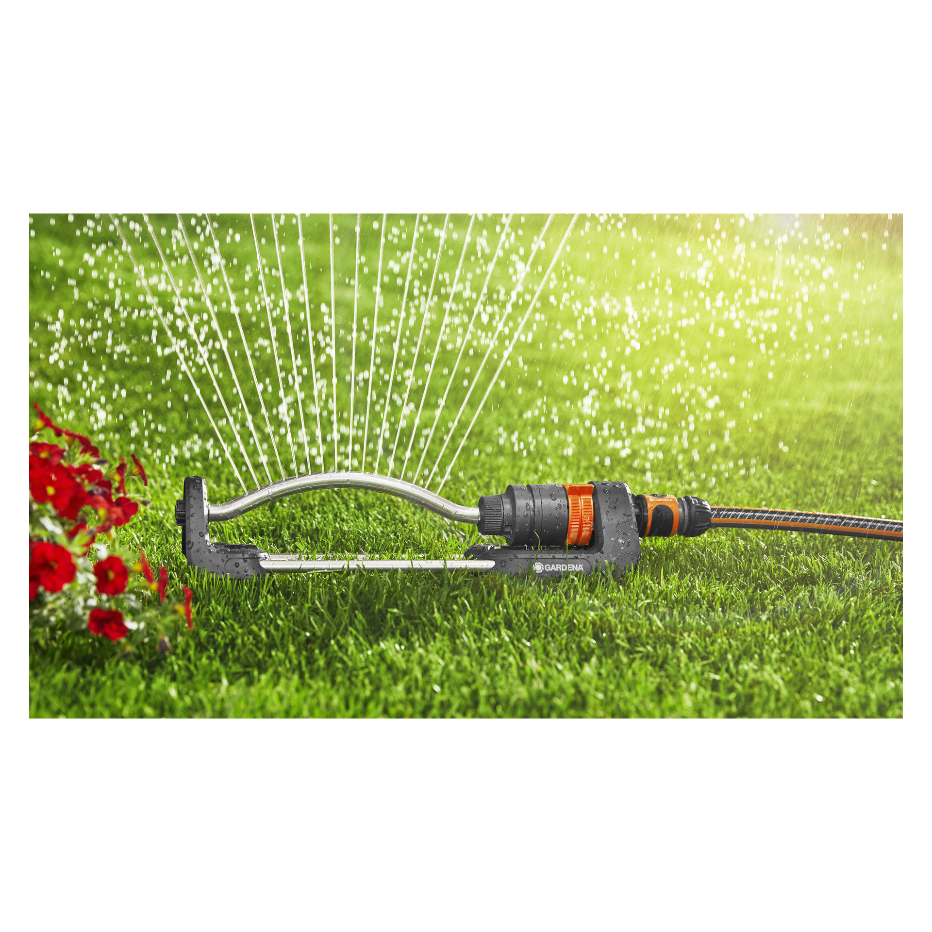En Gardena Aqua S vattenspridare sprider vattenstrålar över en frodig grön gräsmatta. Till vänster finns röda blommor, och bakgrunden är ljus i solljus. En orange och svart slang kopplas till sprinklern.