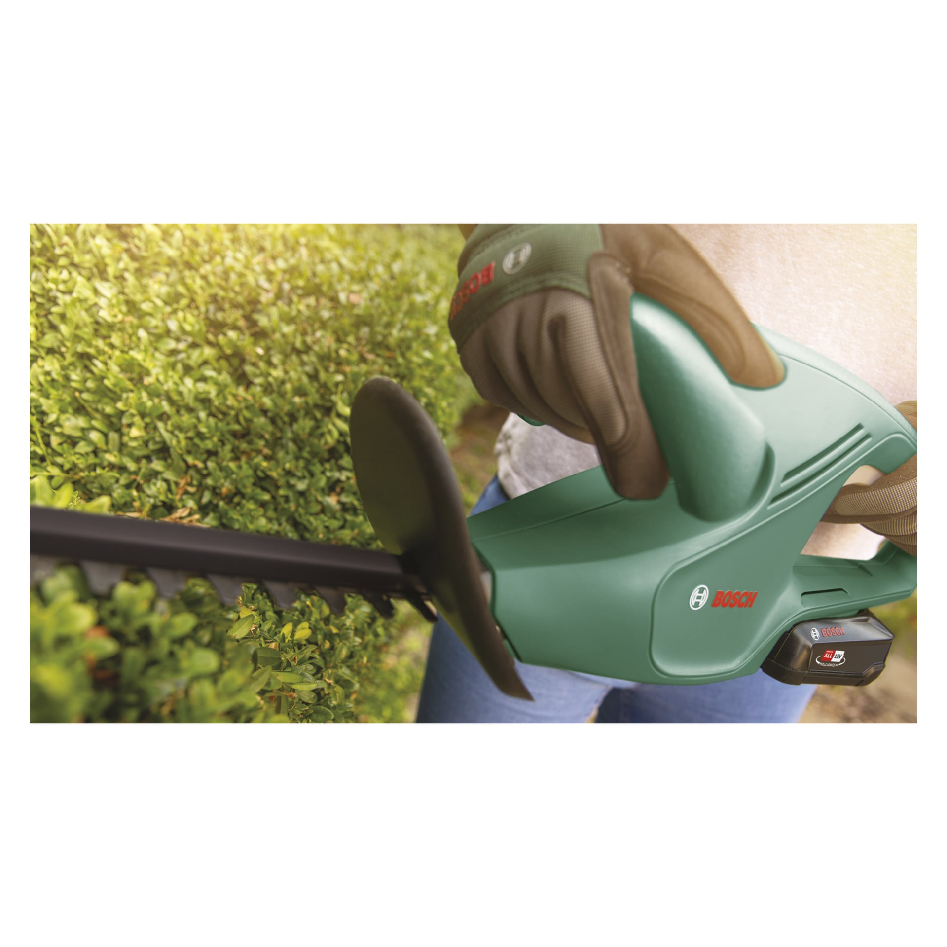 En person med handske trimmar en häck med en Bosch Power 4 All EasyHedgeCut 18-45 sladdlös häcksax och håller den nära kameran. Häcken verkar delvis avklippt.