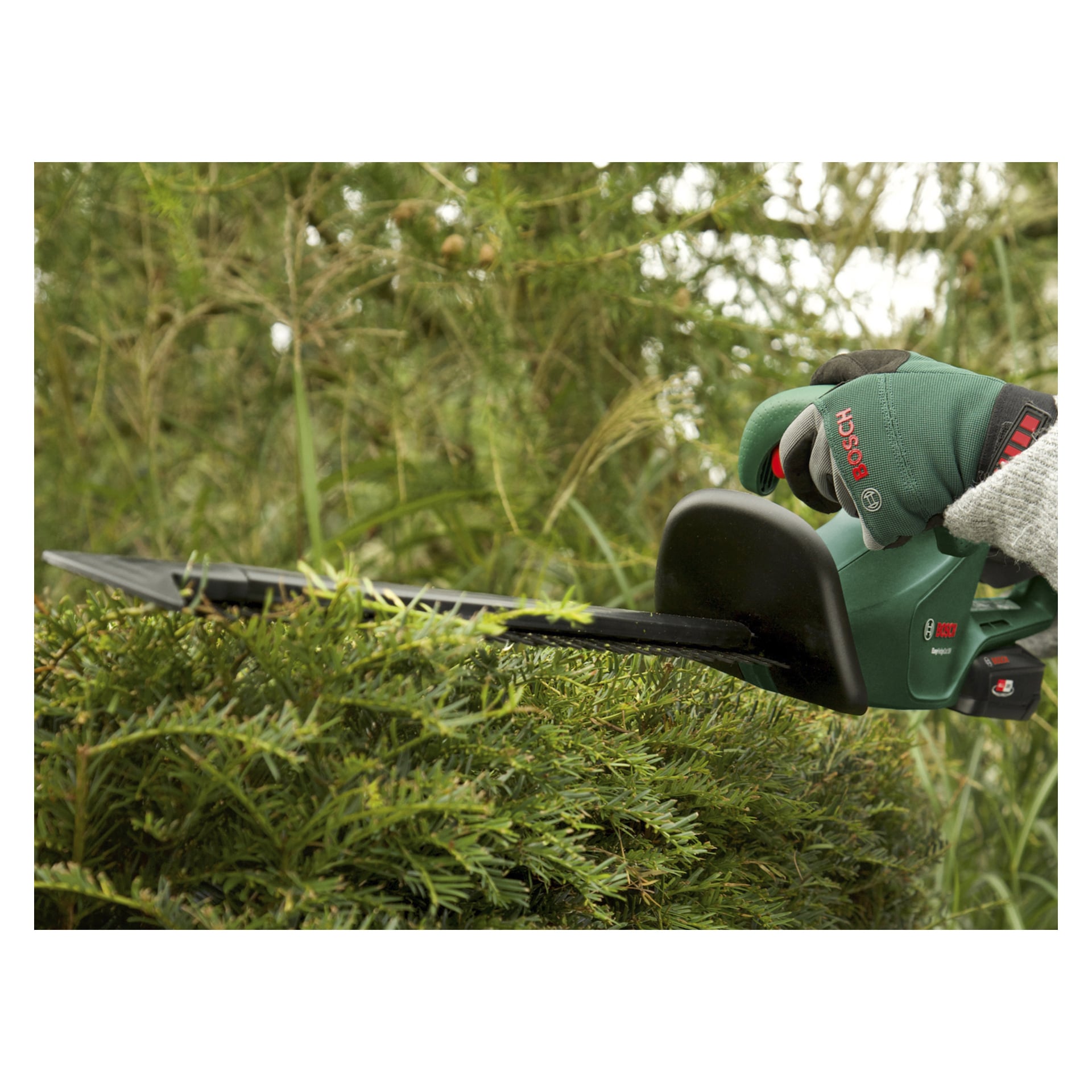En person med skyddshandskar klipper grenarna på en frodig grön buske med Bosch Power 4 All EasyHedgeCut 18-45 batteridriven häcksax, omgiven av tät vegetation.