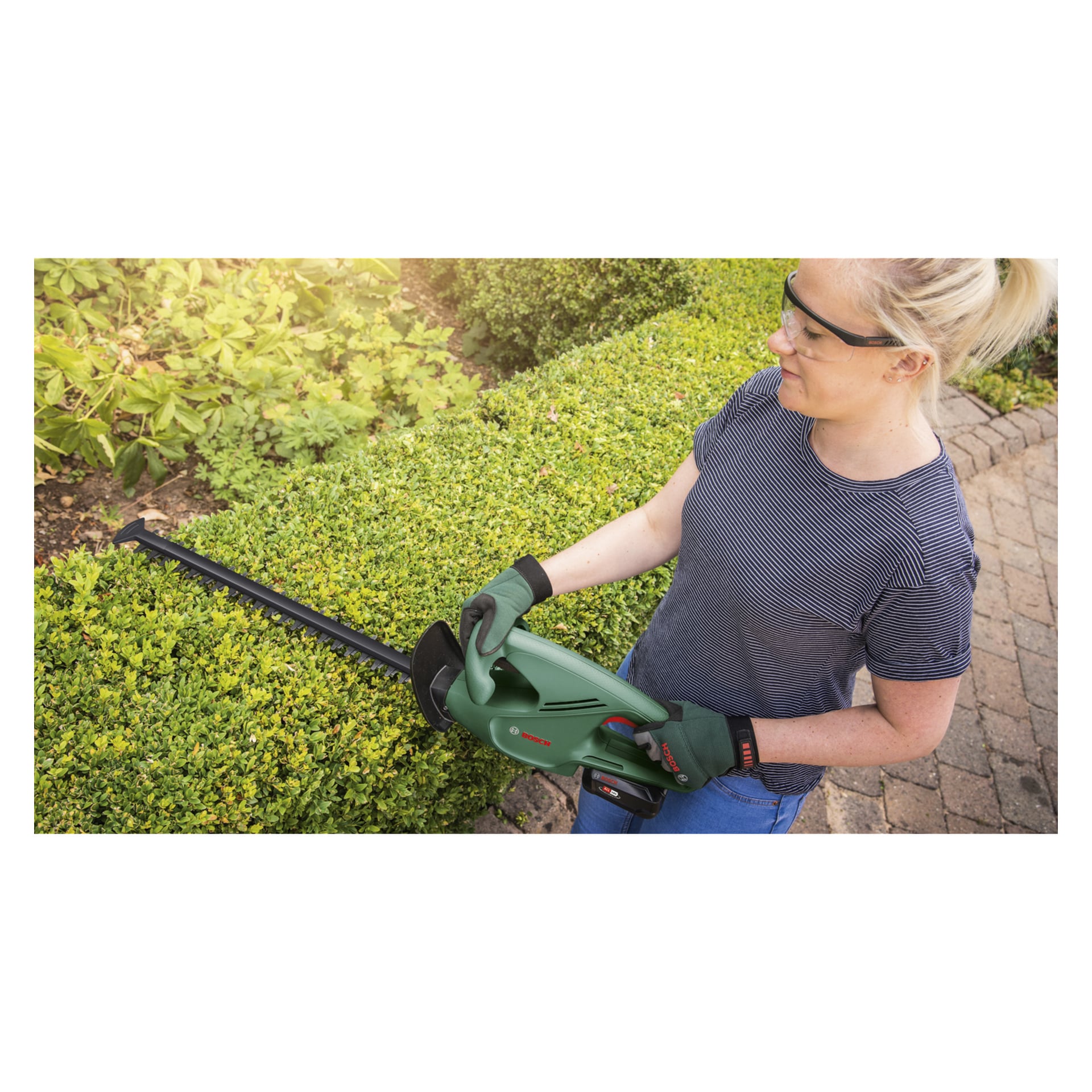 Med skyddsglasögon och handskar trimmar man en välskött häck i trädgården med Bosch Power 4 All EasyHedgeCut 18-45 batteridrivna häcksax.