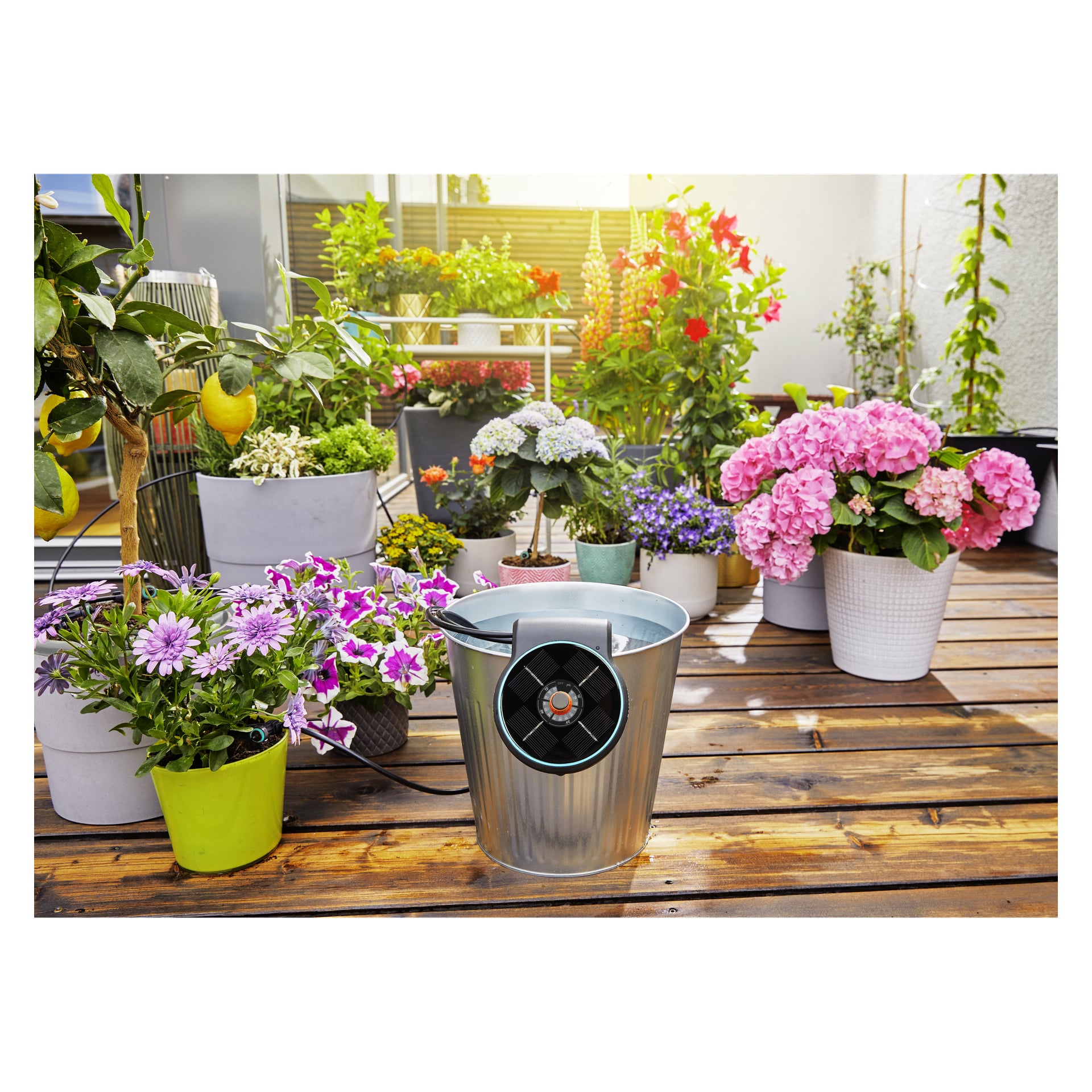 Flera blommande krukväxter är prydligt placerade på en träplatta, med Gardena AquaBloom Set bevattningssystem – en metallhink utrustad med slang och pump – placerat centralt. I bakgrunden finns ett bord och fler växter, alla upplysta av solljus som strömmar in i området.