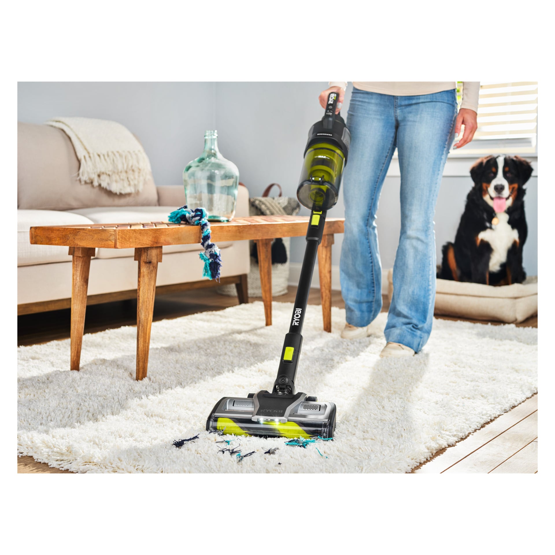 Någon dammsuger en vit matta i sitt vardagsrum med en Ryobi One+ Upright dammsugare (modell RASV18BL-1X40G). I bakgrunden sitter en Berner sennhund på en stol bredvid ett träbord och en stor glaskanna.