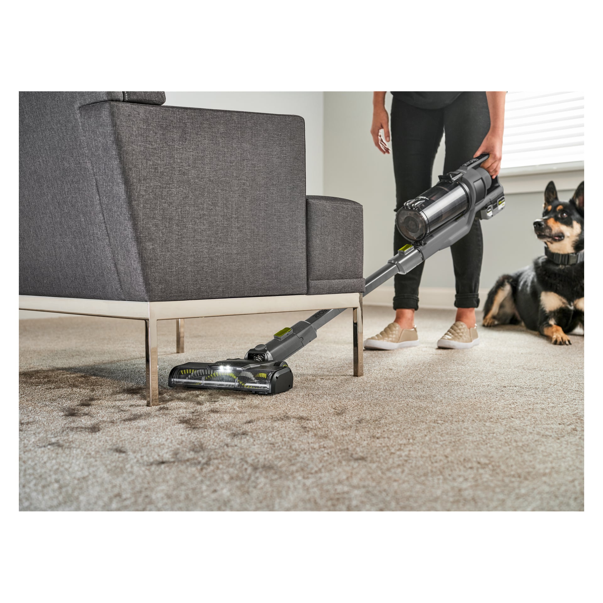 Henkilö puhdistaa mattoa harmaan sohvan alla Ryobi One+ Upright Vacuum Cleaner RSVS18BL-0 -mallilla, jossa on harjaton moottori. Lähellä musta ja ruskea koira tarkkailee huonetta, jonka seinät ovat neutraalin värisiä ja ikkunan peittämässä sälekaihtimet.