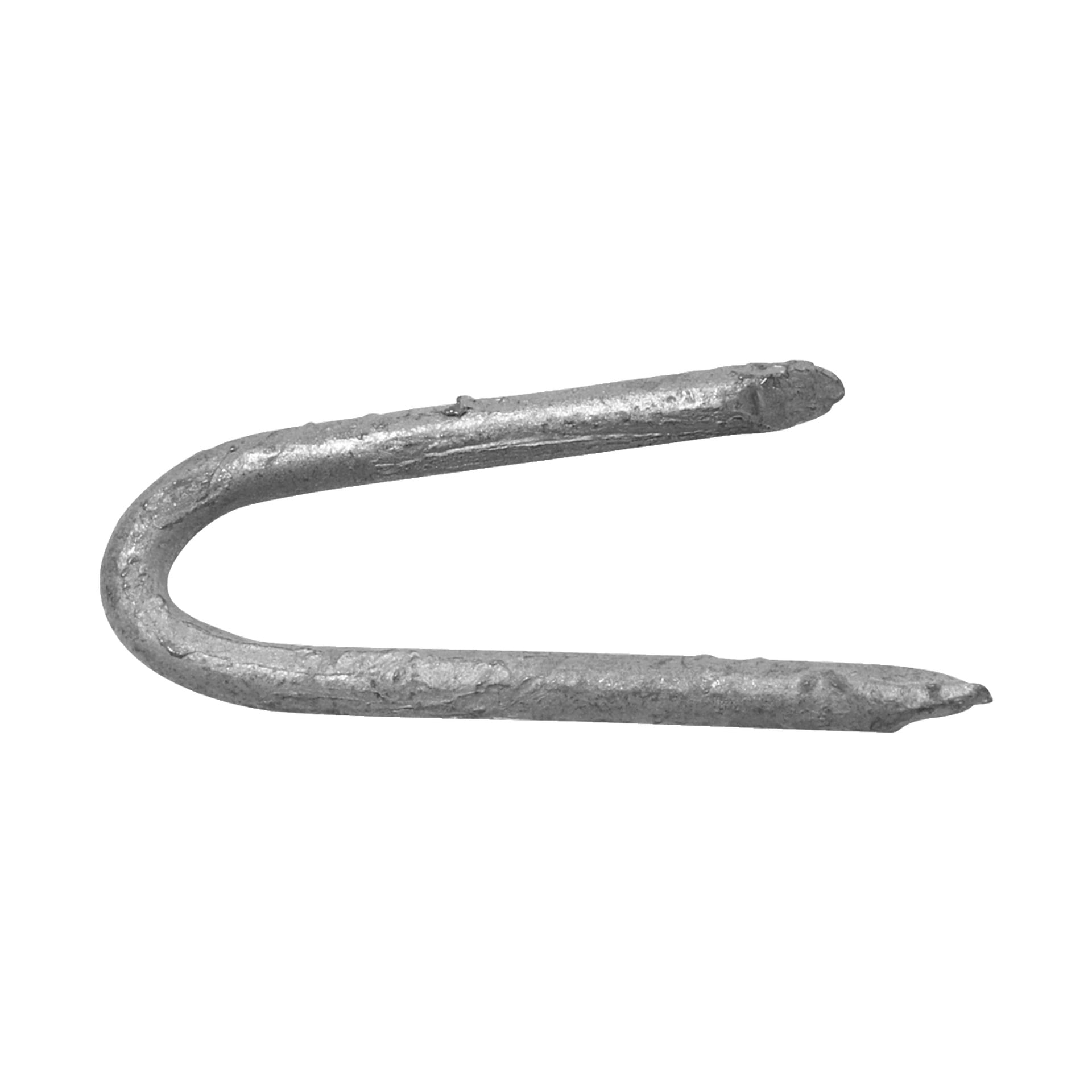 En närbild på en metallstängselklammer med två vassa spetsar och en böjd topp.