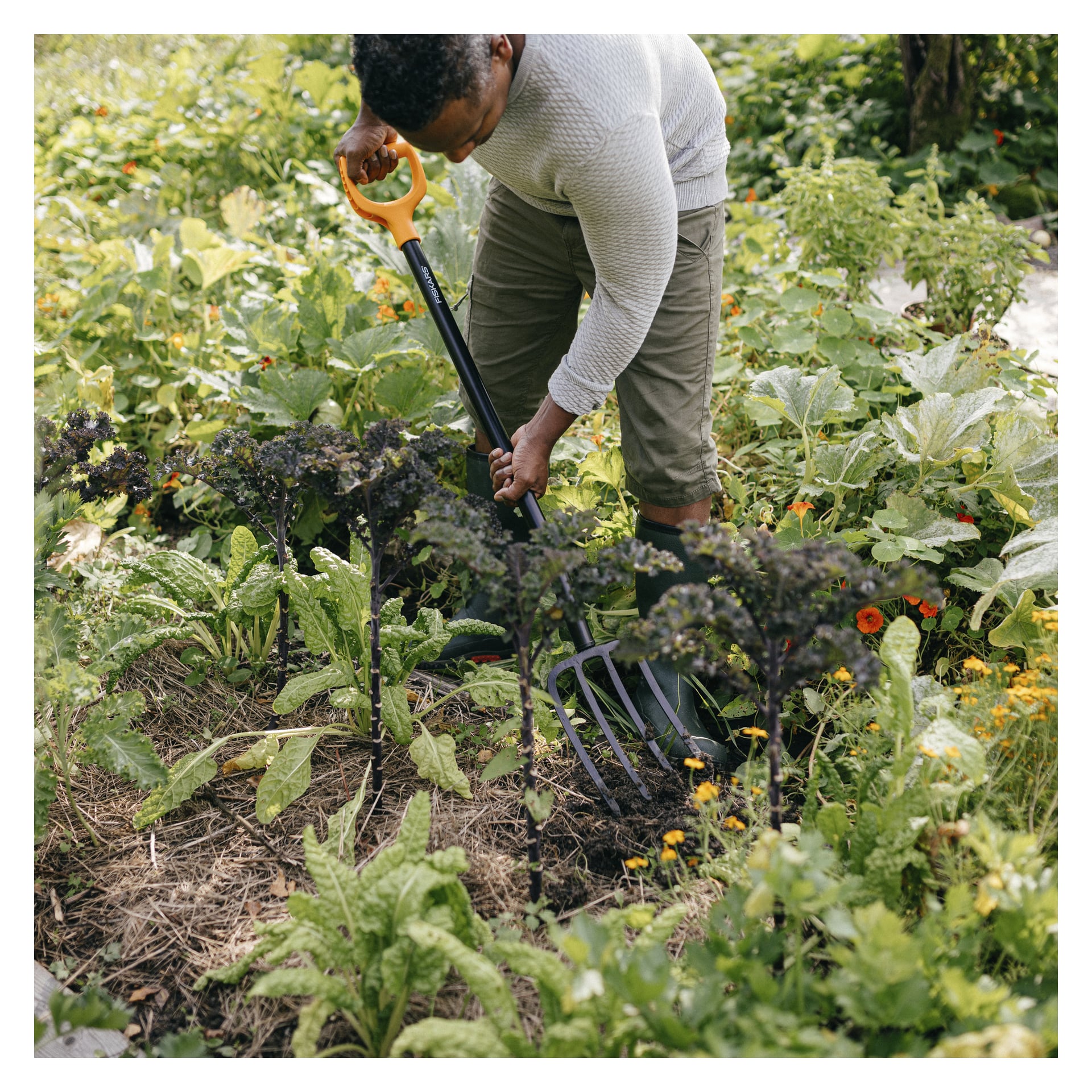 En person i en lett genser og shorts pleier bladgrønnsaker og blomster i en frodig hage med Fiskars Gardening Fork Solid.